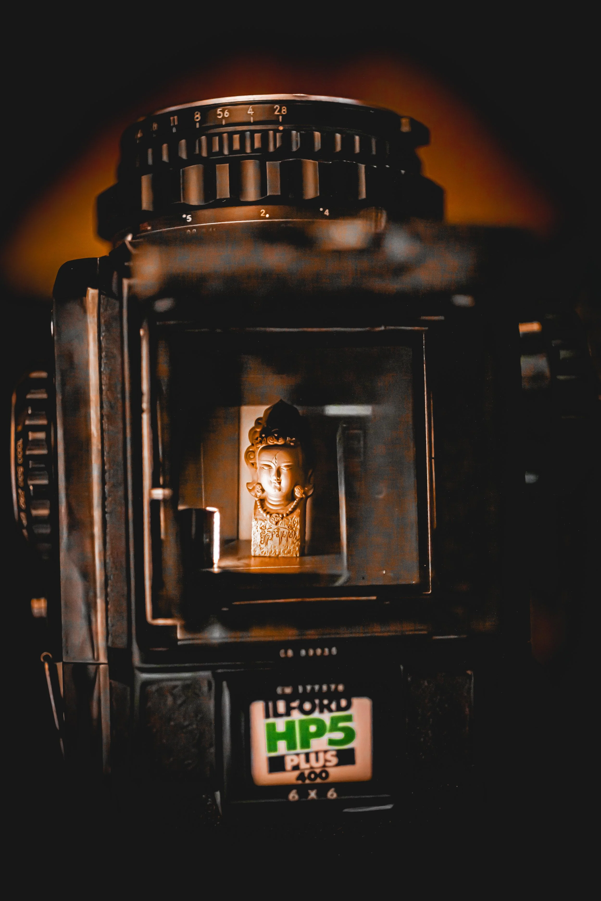 Gothic fine art marketplace photography display captured on 120 medium format film with contact sheet borders in Richmond Virginia.