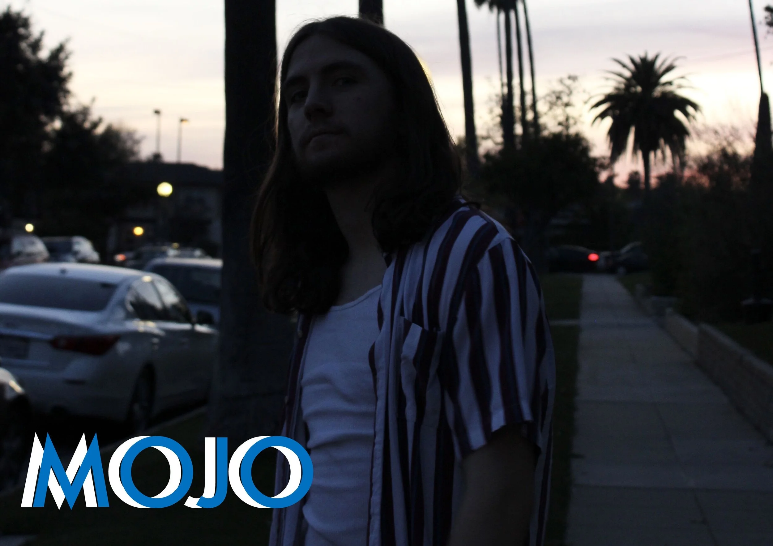 Mojo - David Spitzfaden