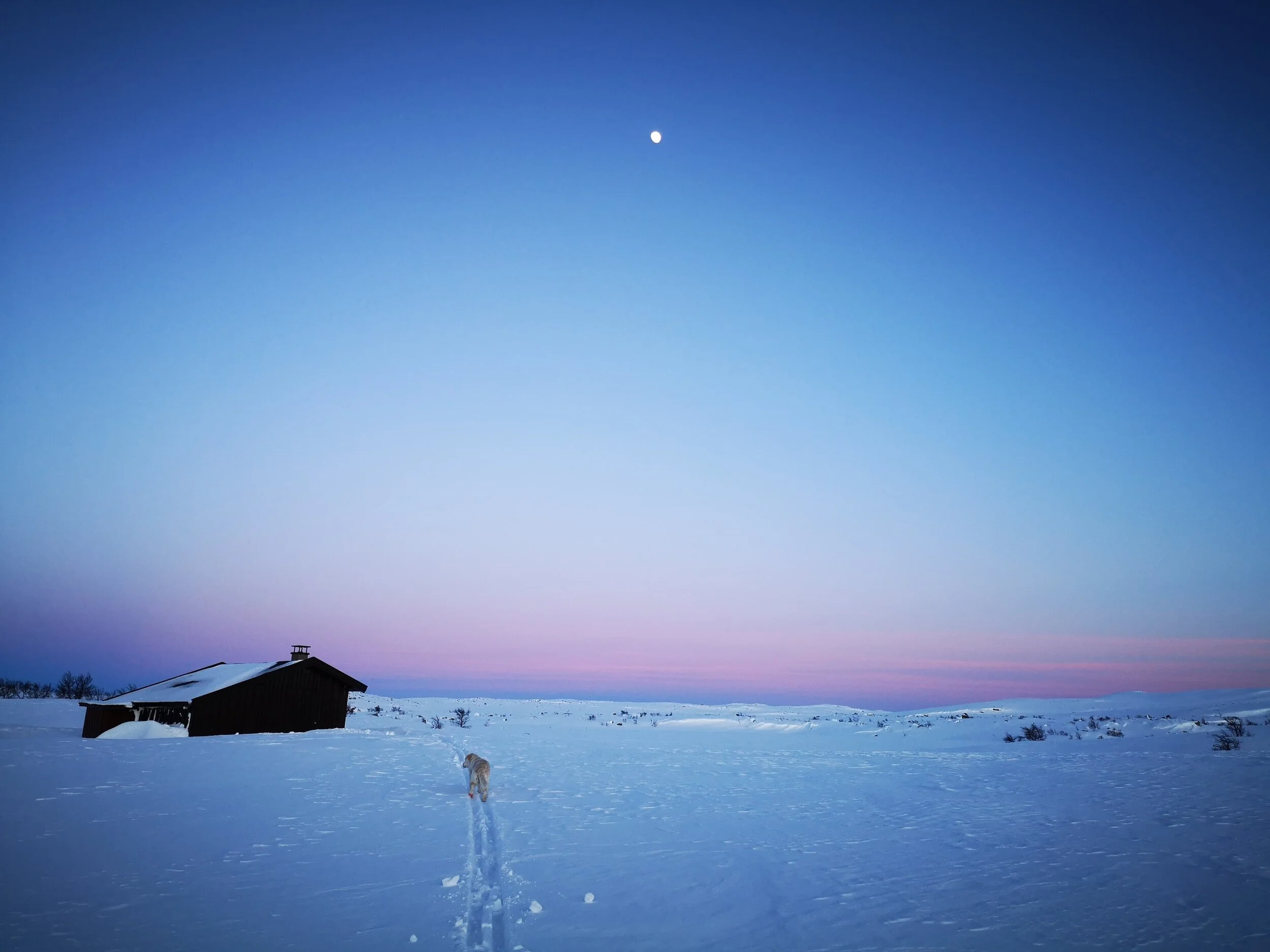 Velkommen til Os fjellstyre