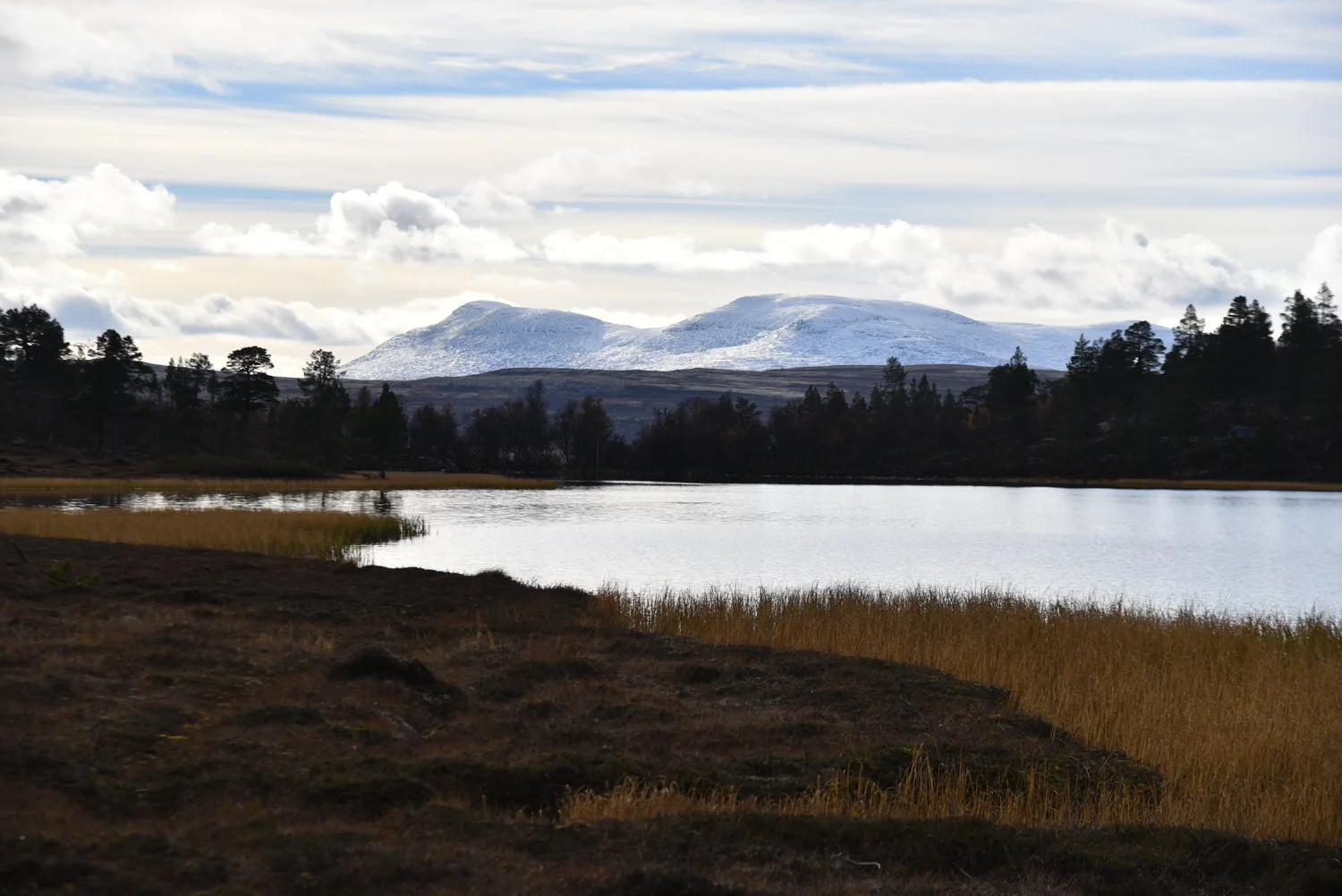 Kommunestyret har hatt valg på nytt fjellstyre