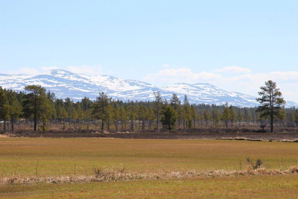 Åpent møte i Os Fjellstyre