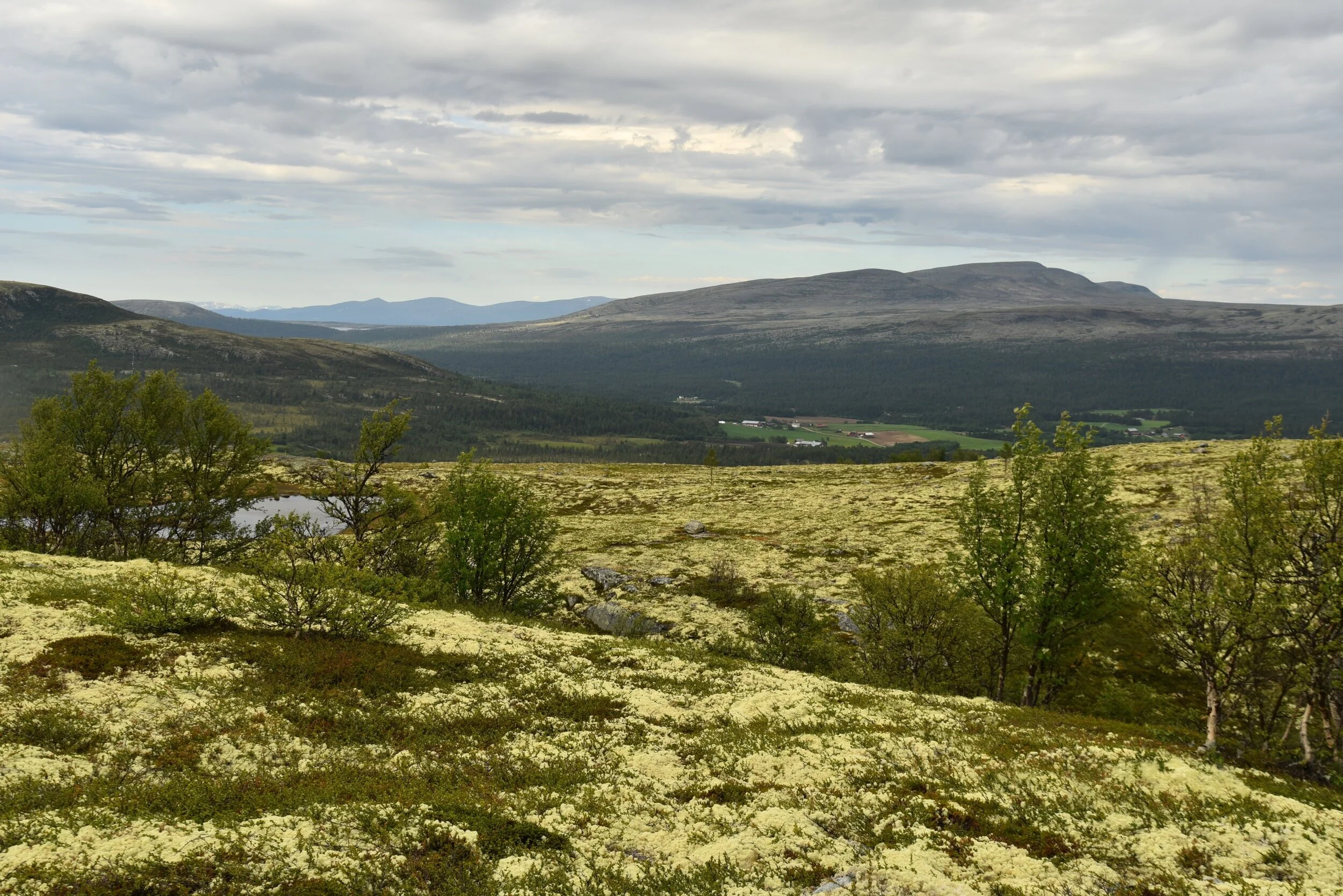 VELKOMMEN TIL OS FJELLSTYRE