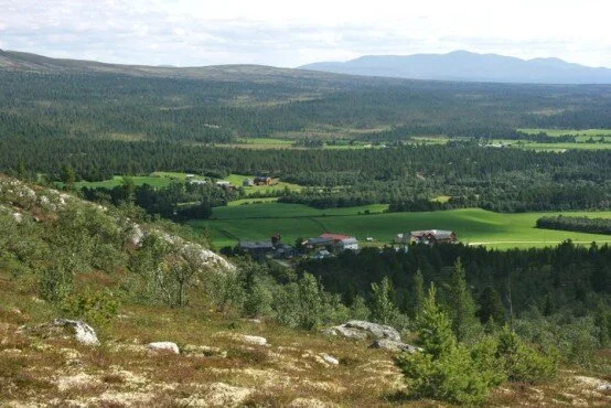 VELKOMMEN TIL OS FJELLSTYRE