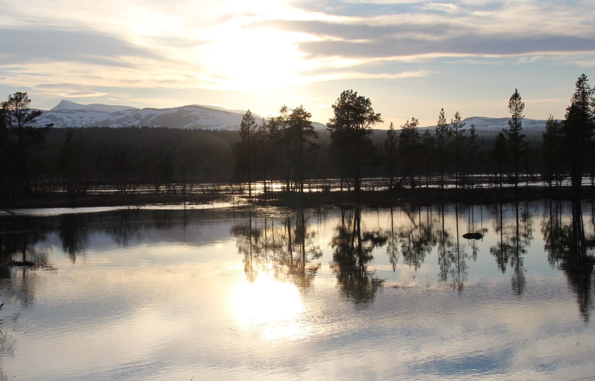 VELKOMMEN TIL OS FJELLSTYRE