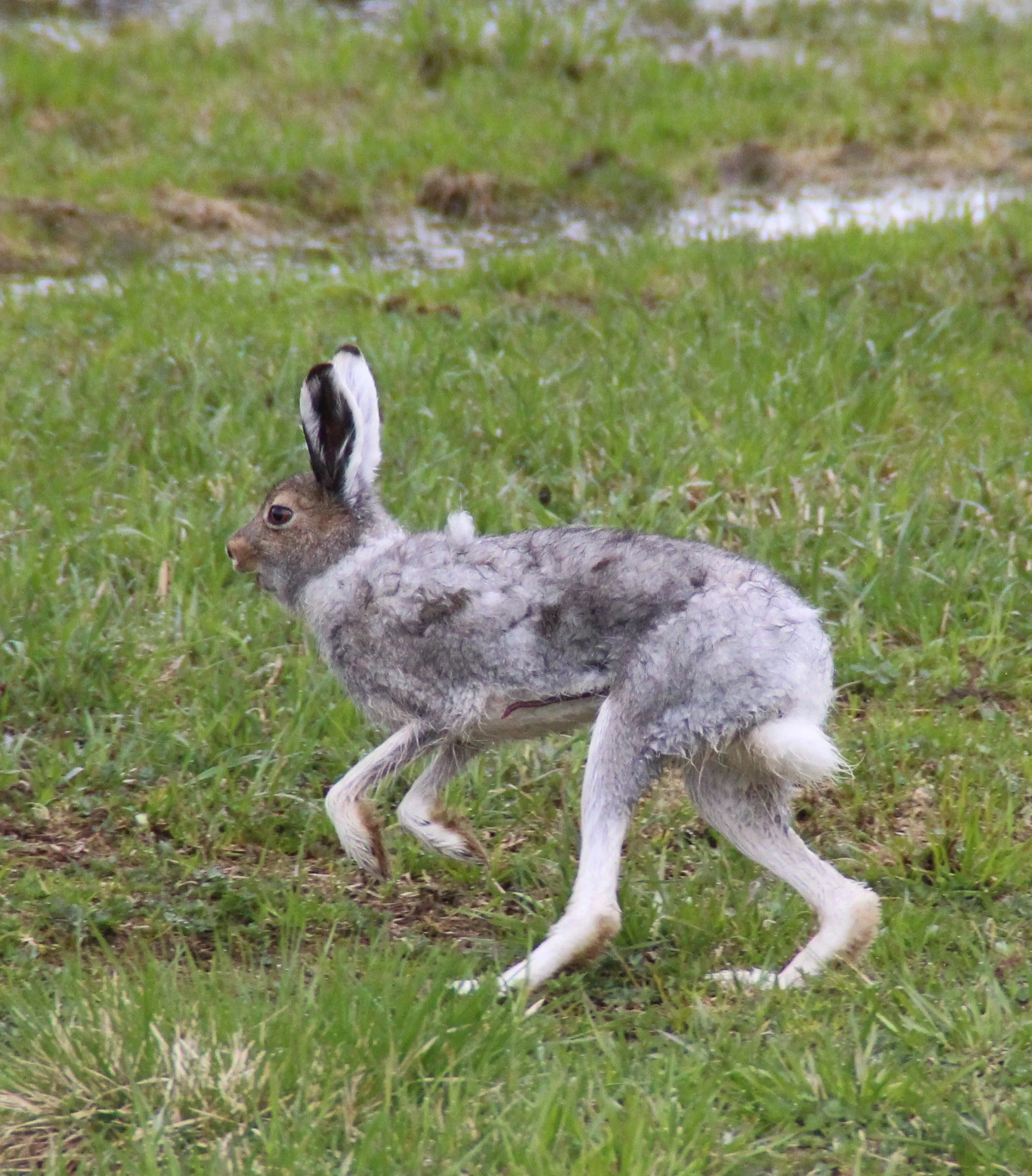 VELKOMMEN TIL OS FJELLSTYRE