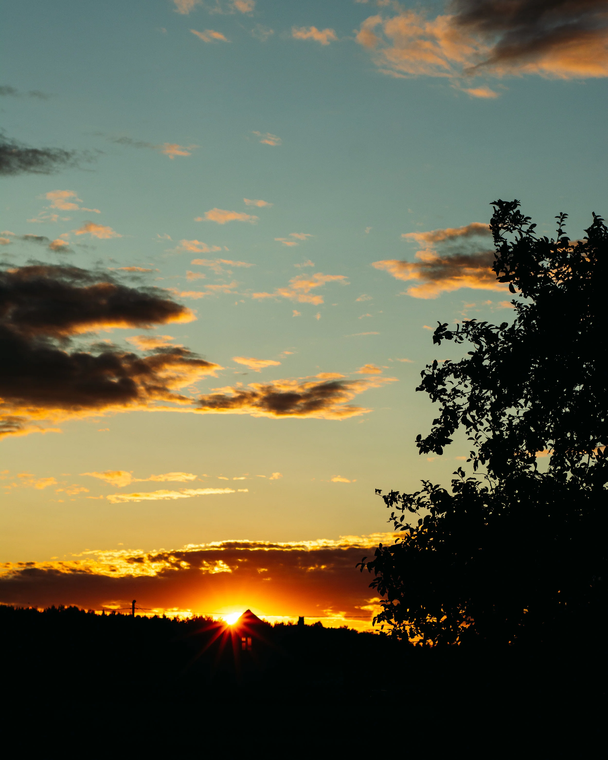 The Mindful Farmers Daily Diary Day 62