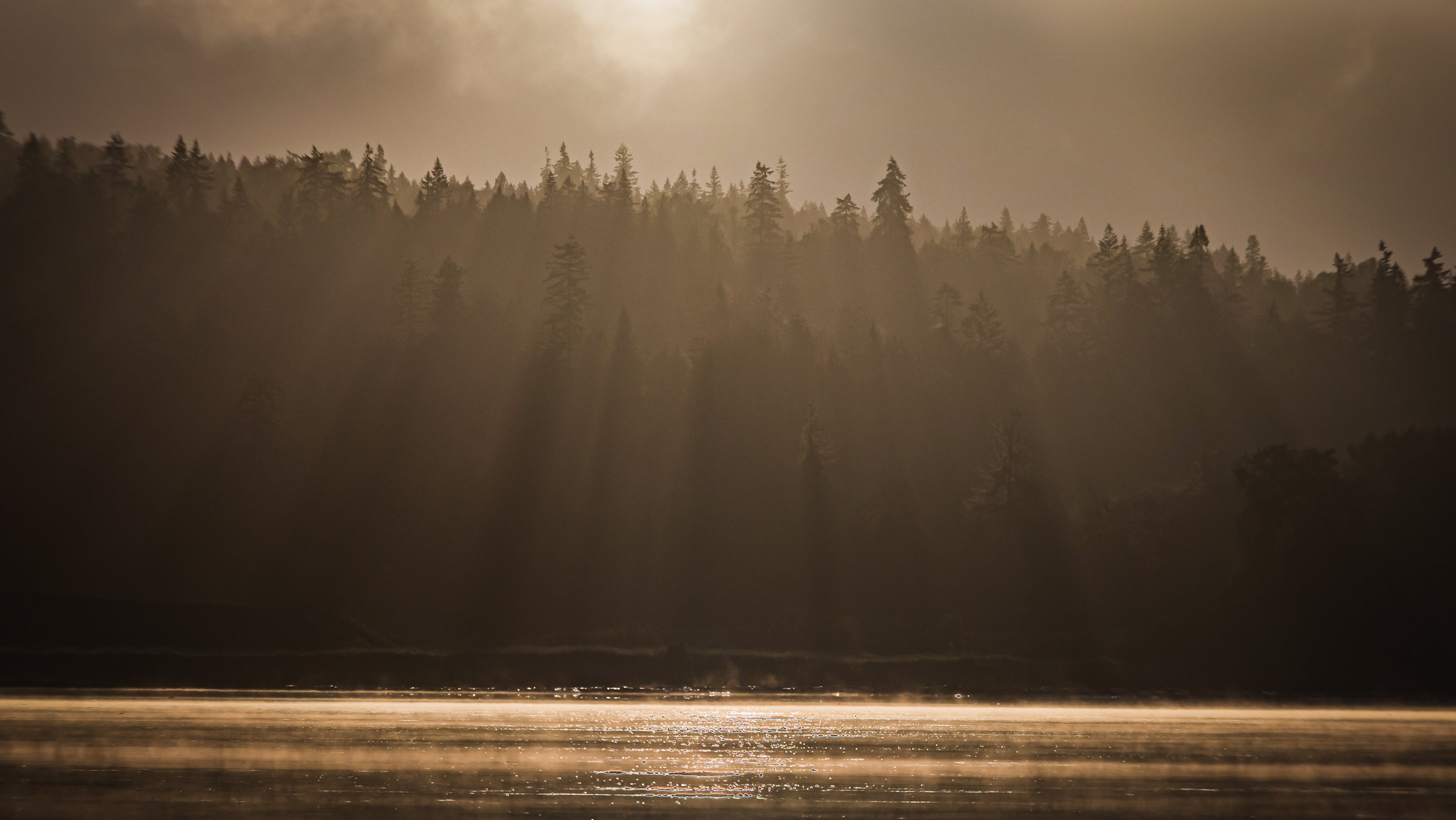 The Mindful Farmer Daily Diary Day 90