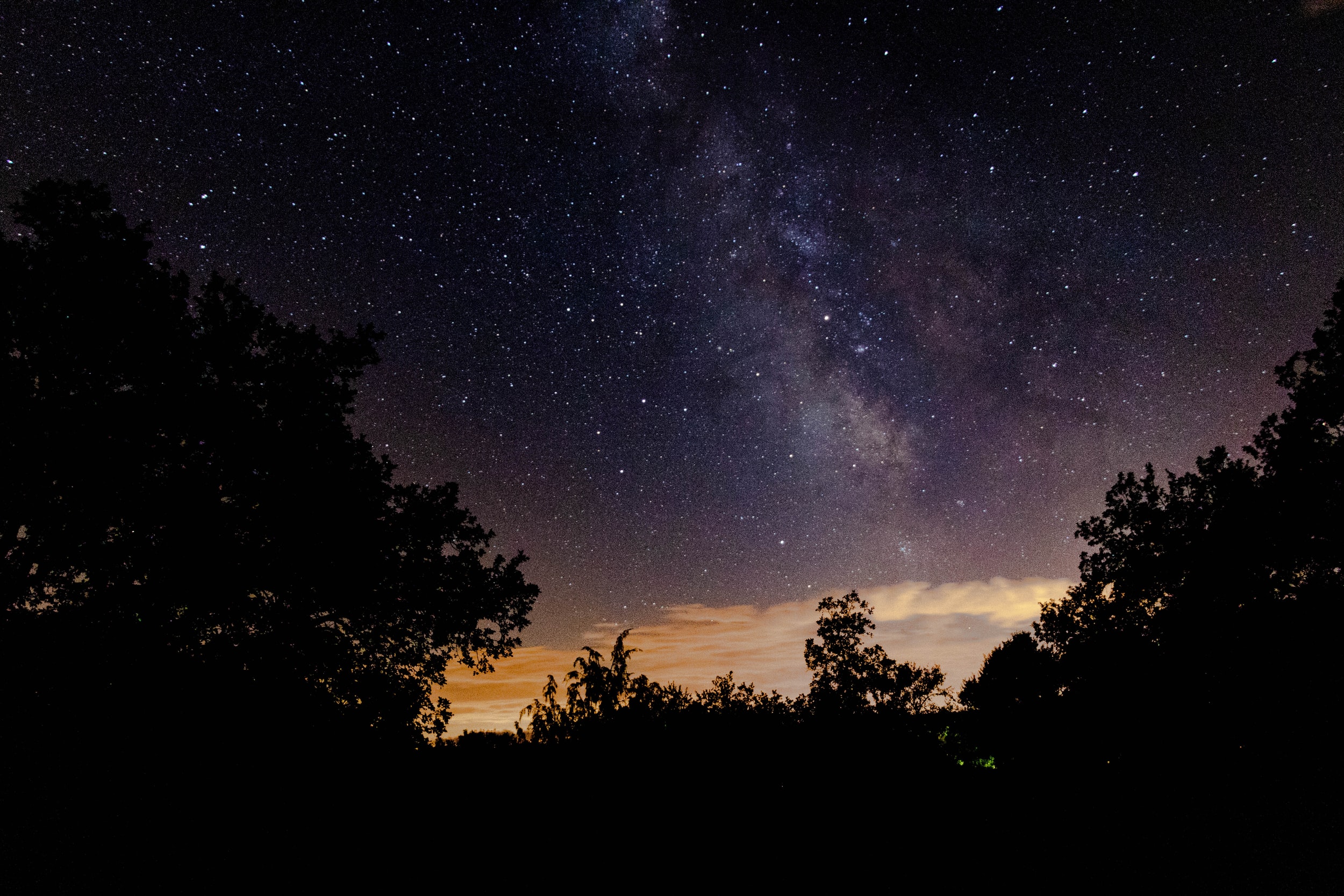 The Mindful Farmers Daily Diary Day 240