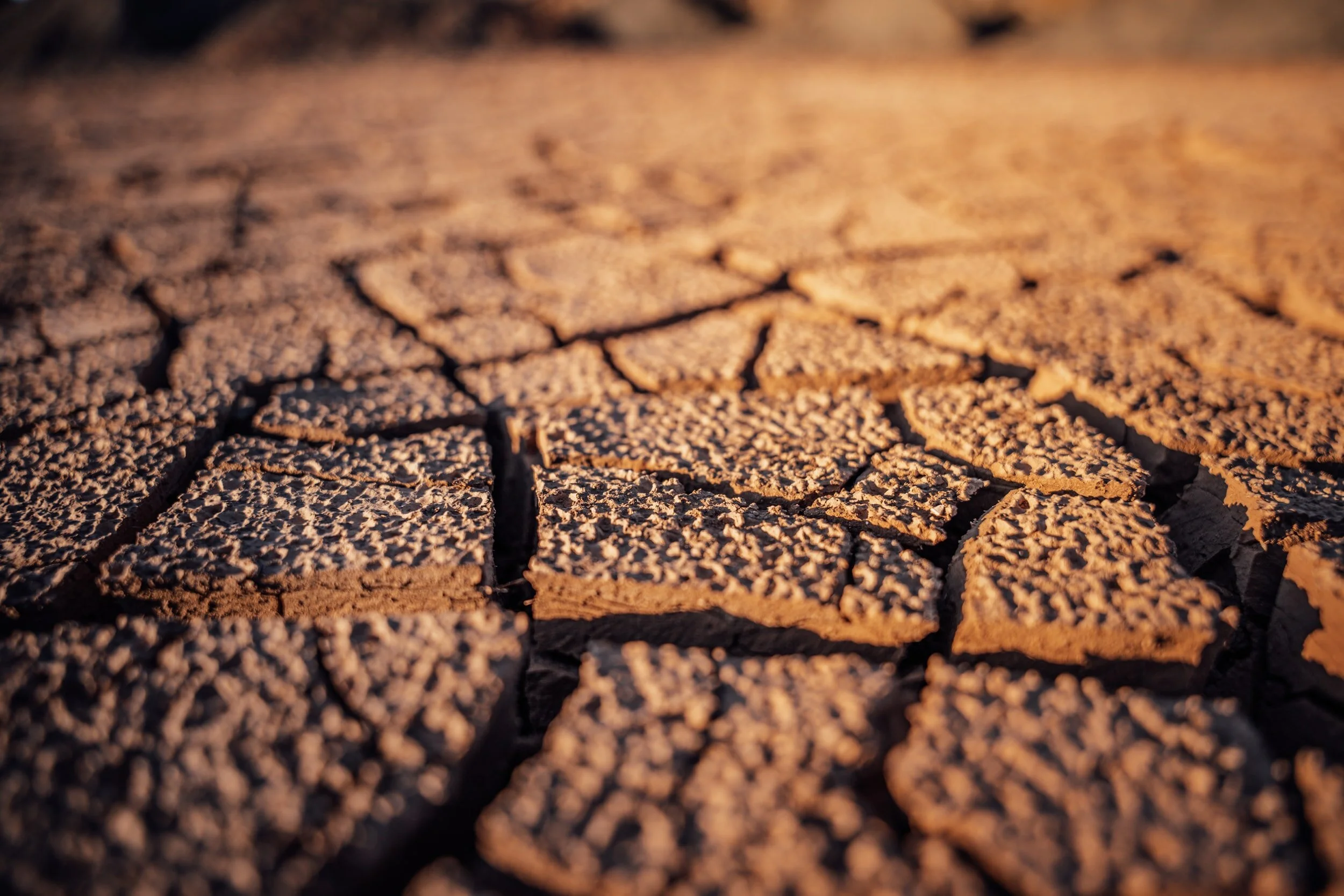 The Mindful Farmers Daily Diary Day 277