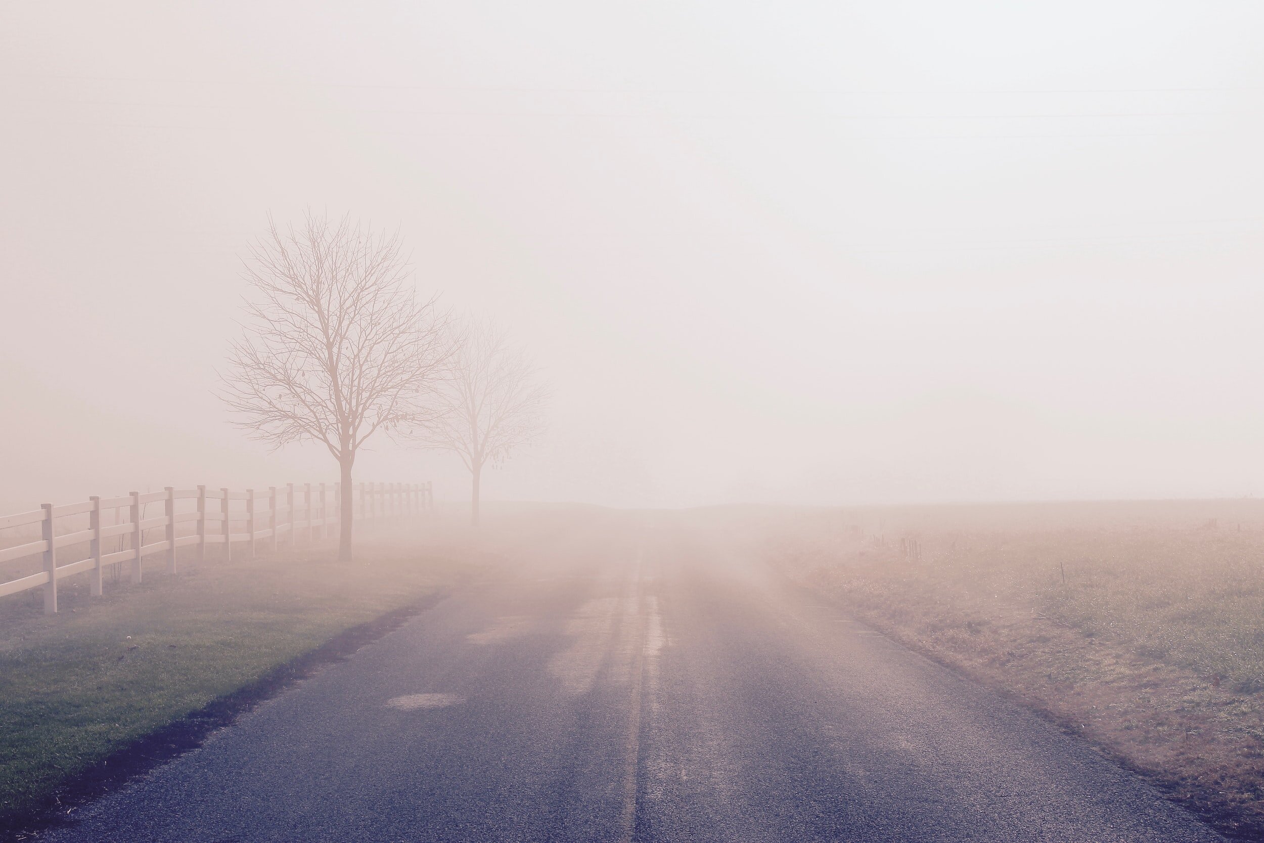 The Mindful Farmers Daily Diary Day 287