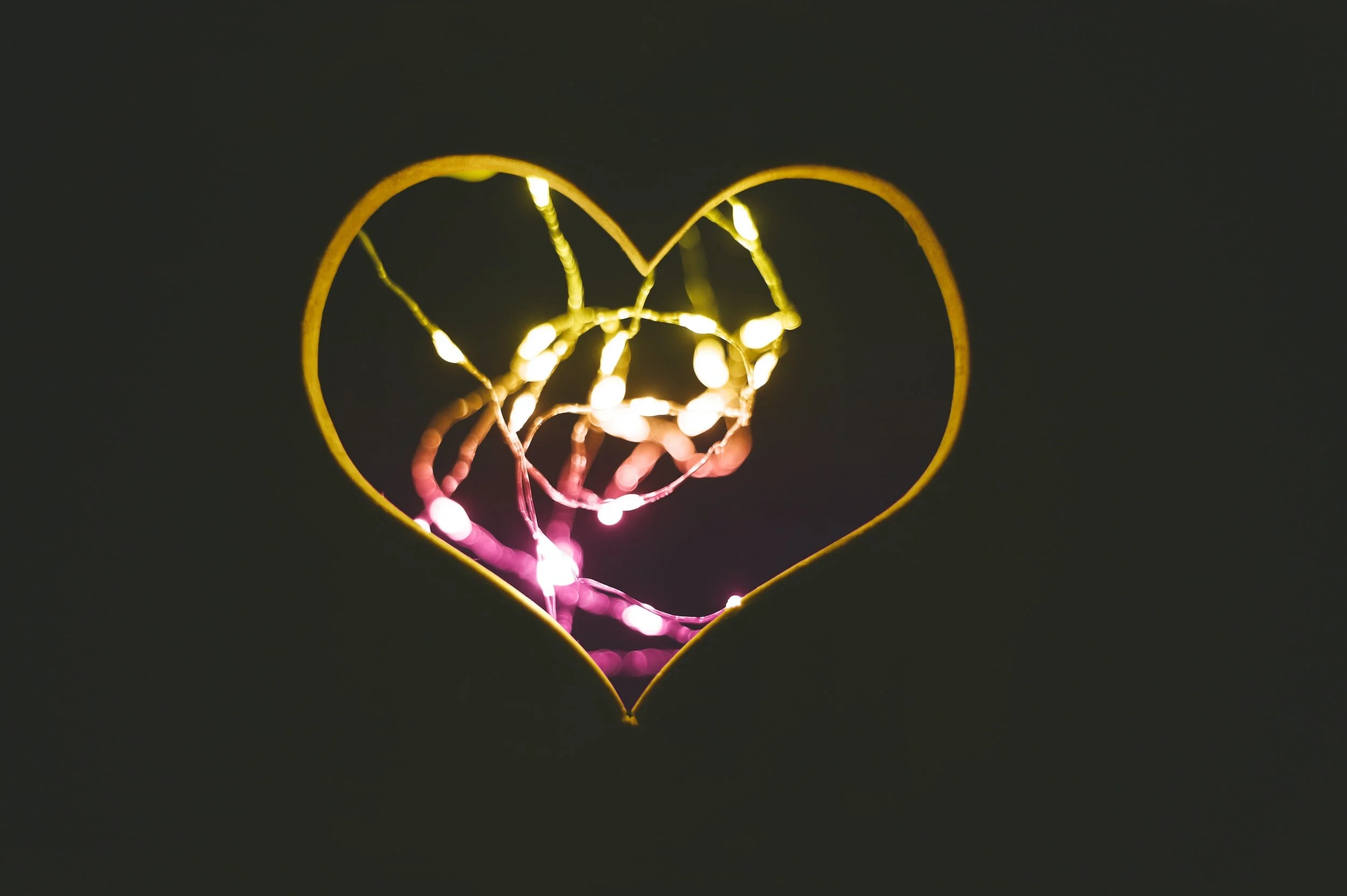 The Mindful Farmers Daily Diary Day 296