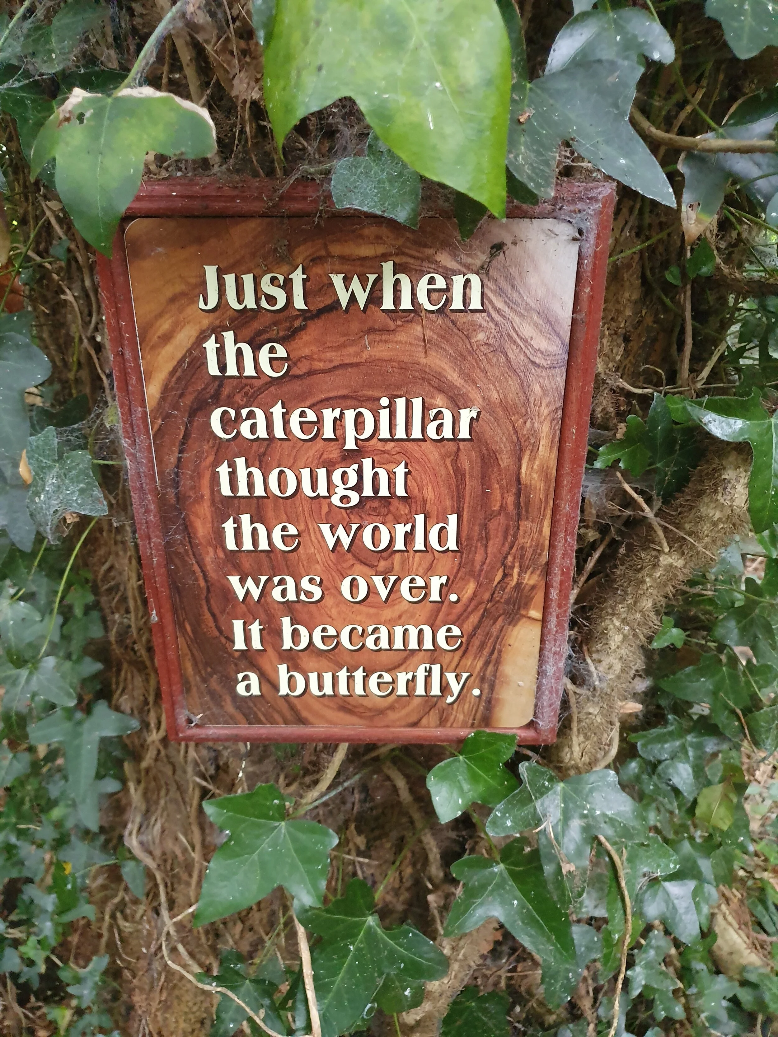 The Mindful Farmers Daily Diary Day 305