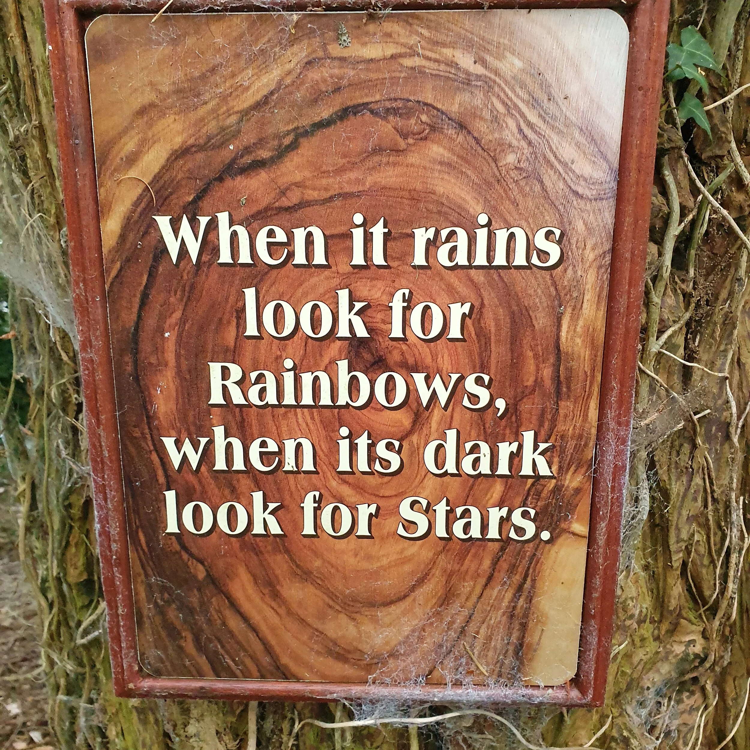 The Mindful Farmers Daily Diary Day 346