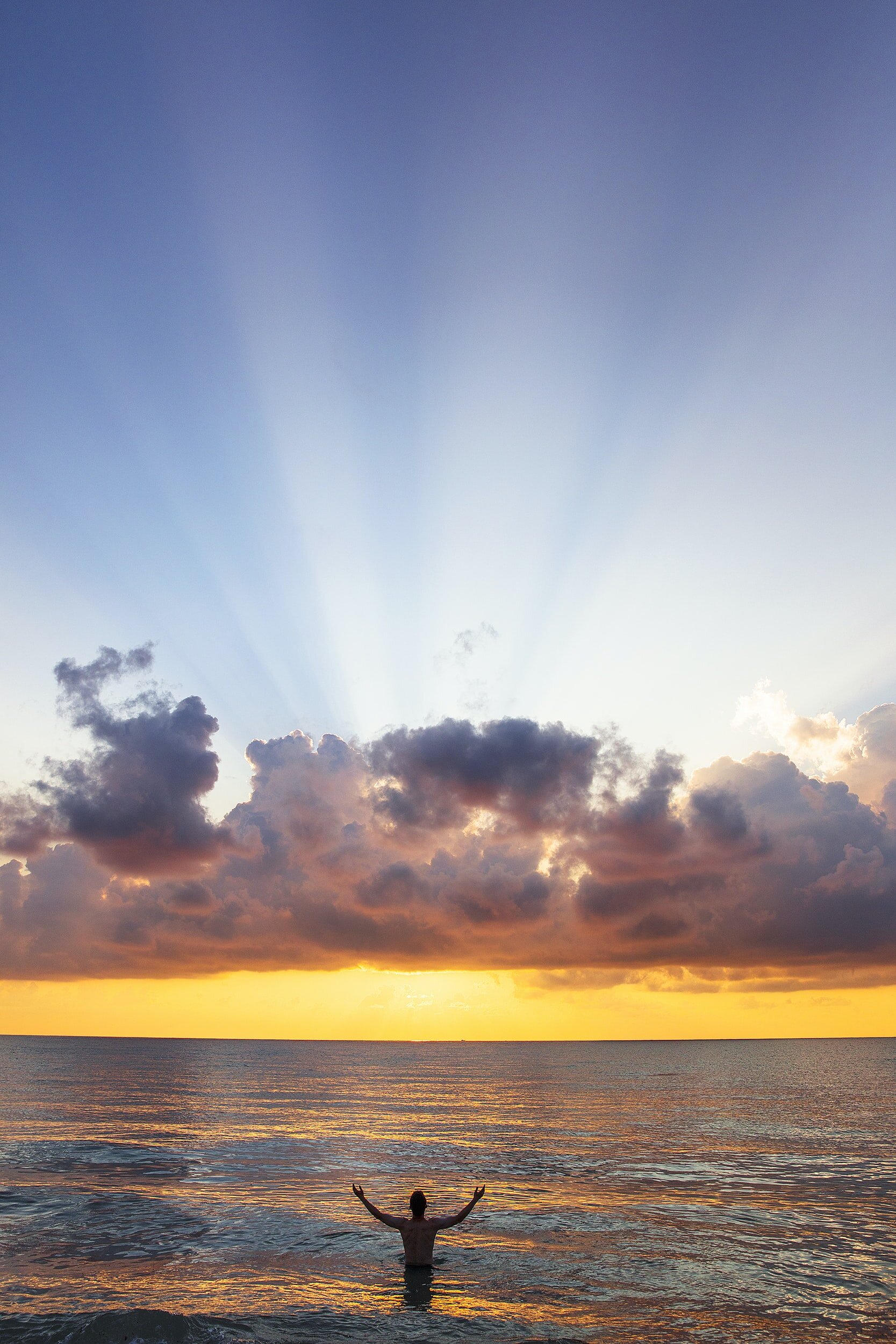 The Mindful Farmers Daily Diary Day 395