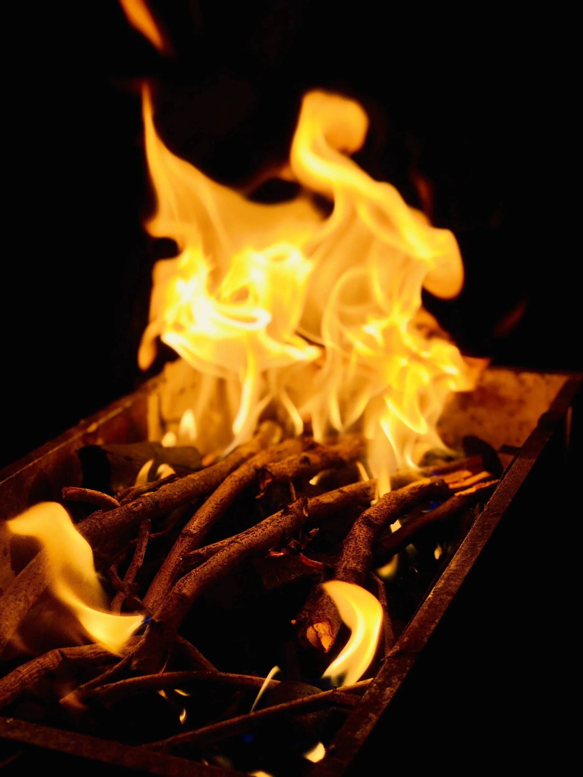 The Mindful Farmers Daily Diary Day 427