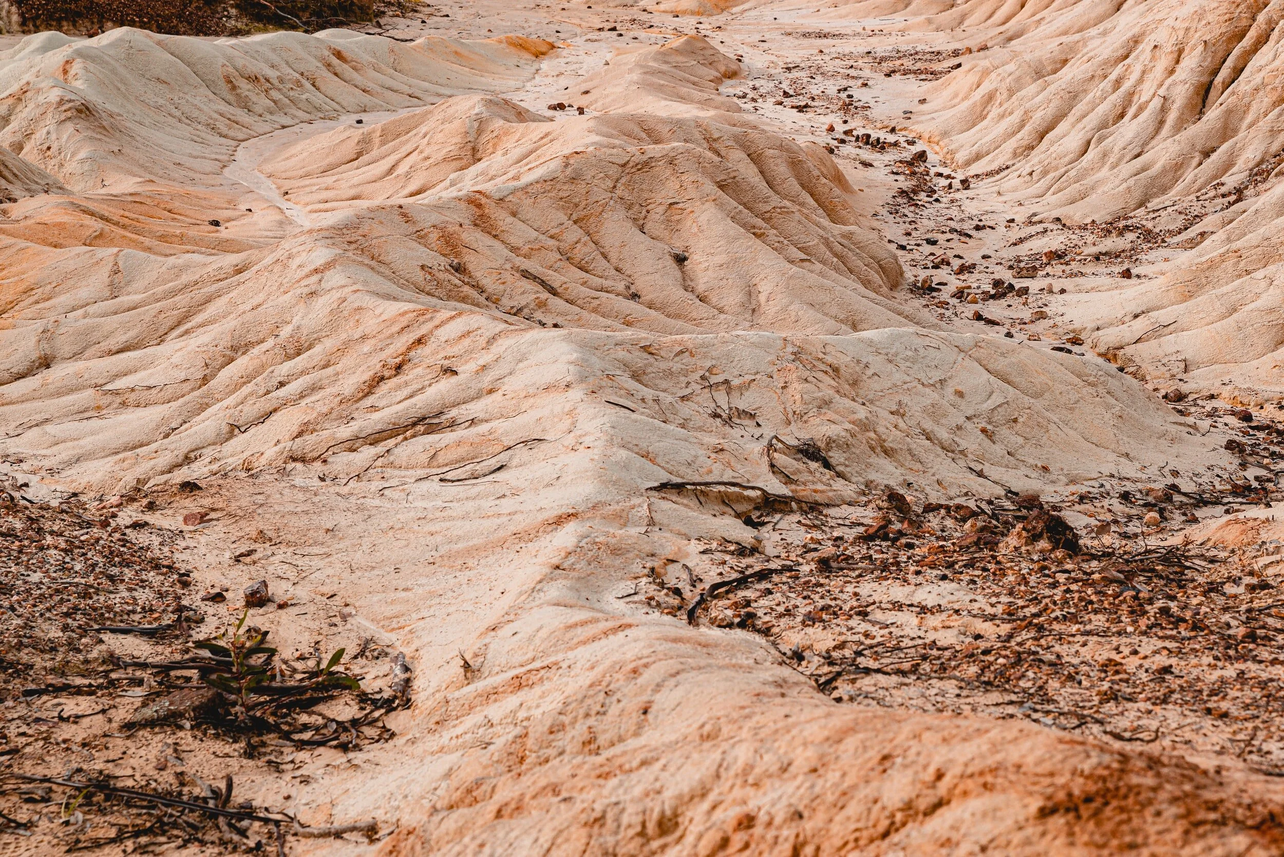 The Mindful Farmers Daily Diary Day 439