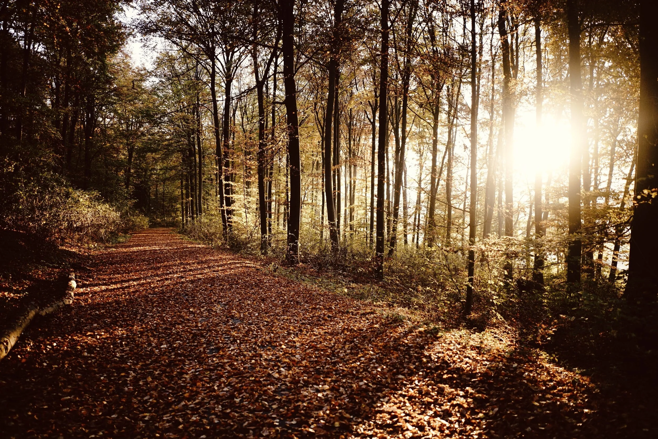 The Mindful Farmers Daily Diary Day 448