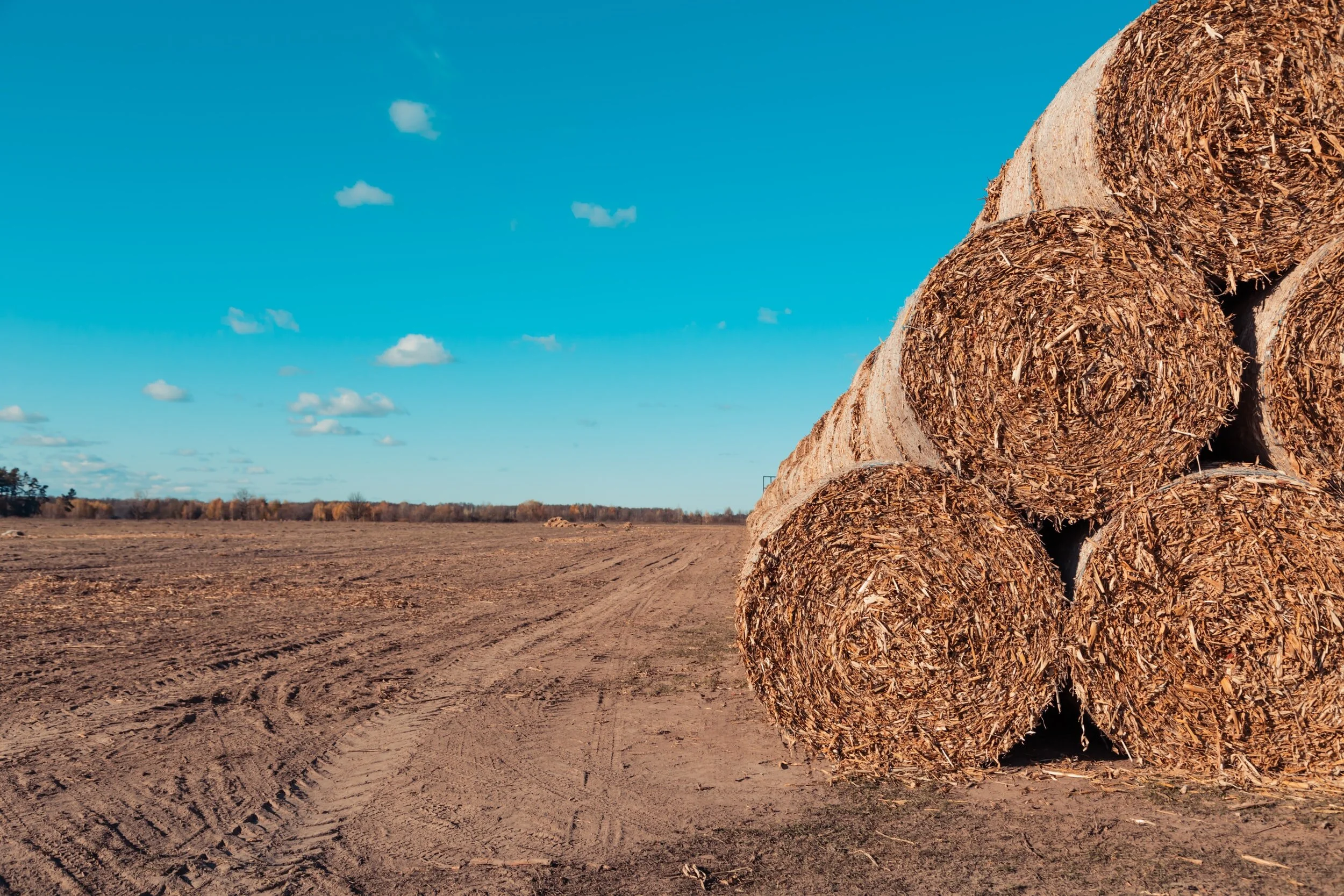 The Mindful Farmers Daily Diary Day 457