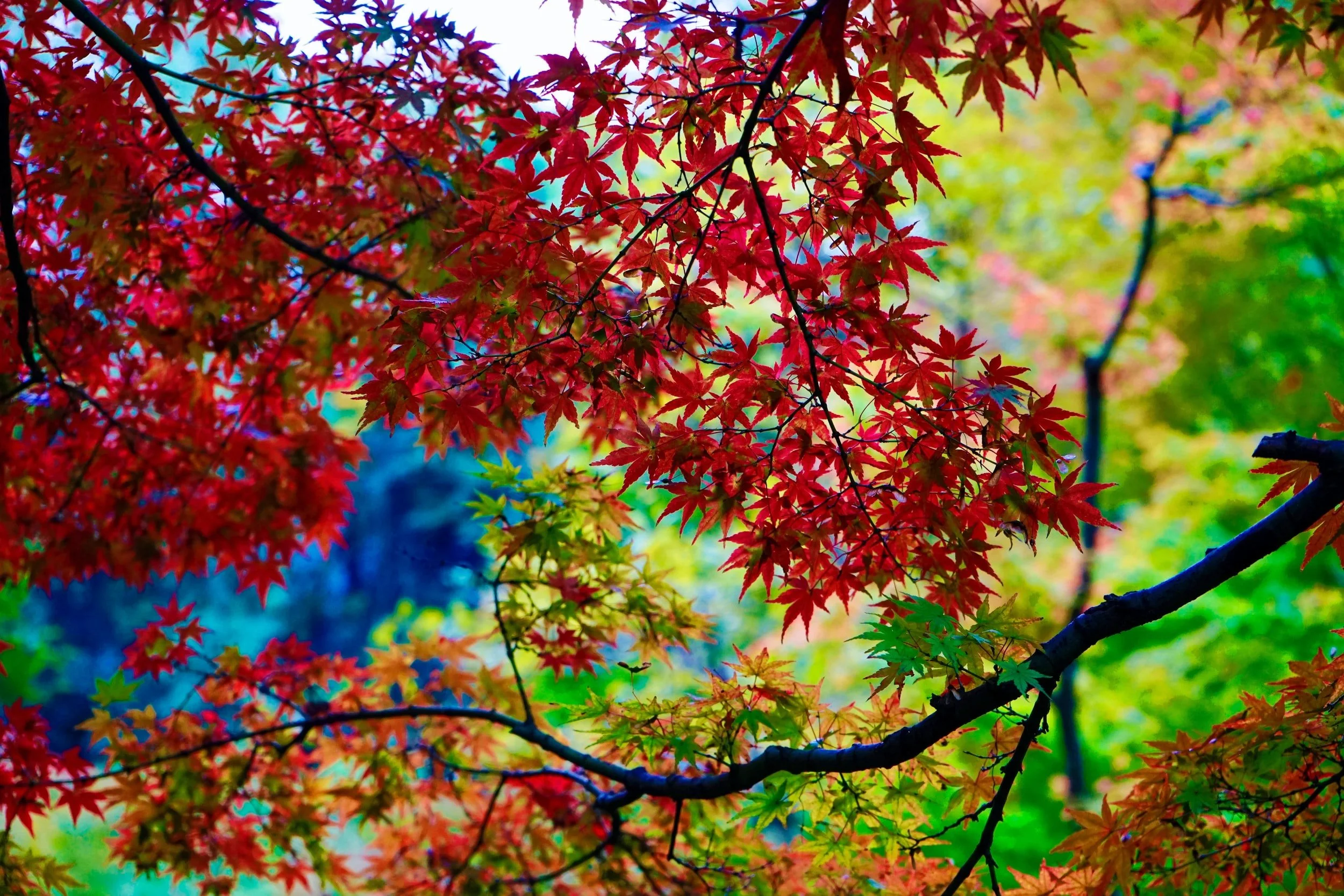 The Mindful Farmers Daily Diary Day 619