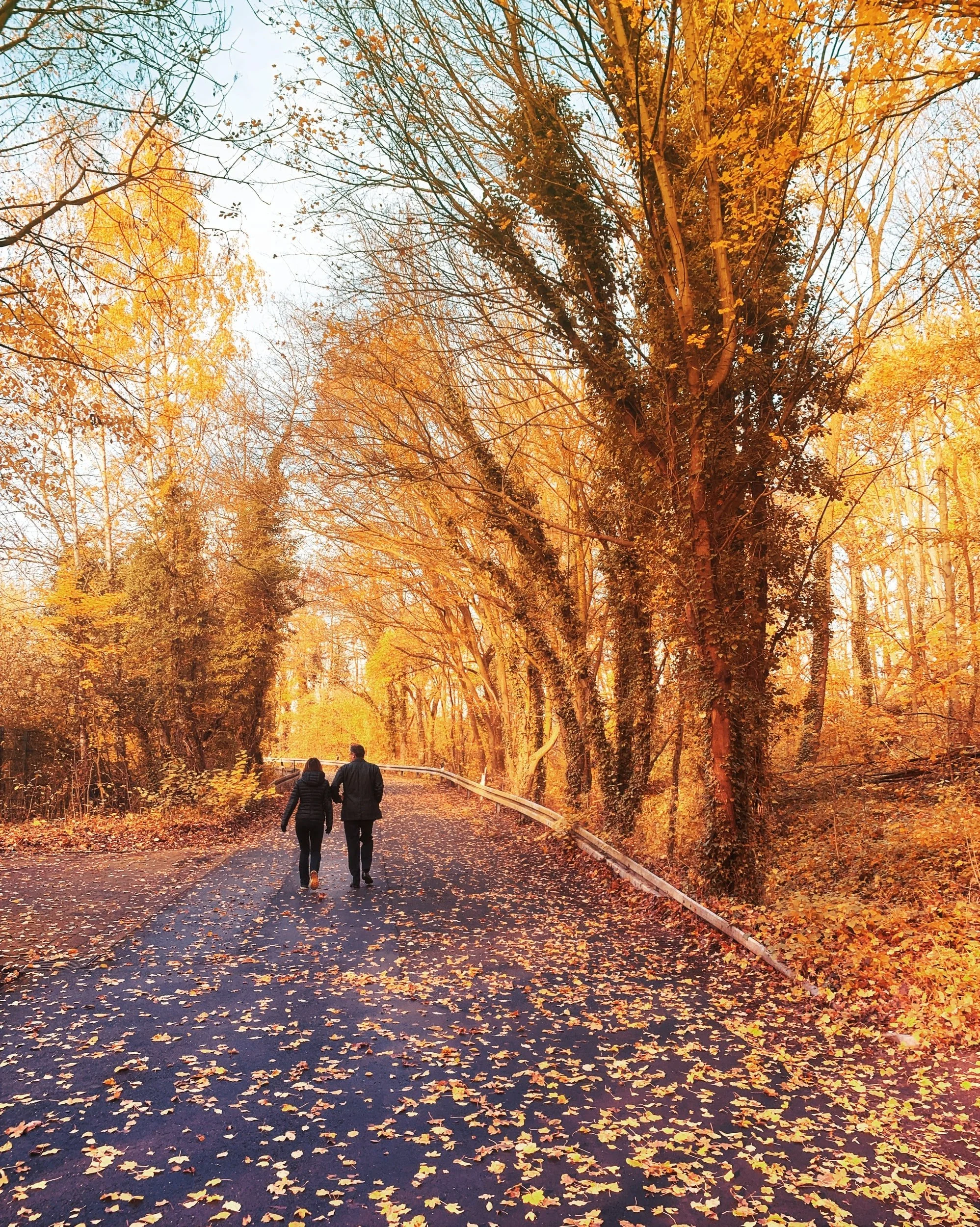 The Mindful Farmers Daily Diary Day 630