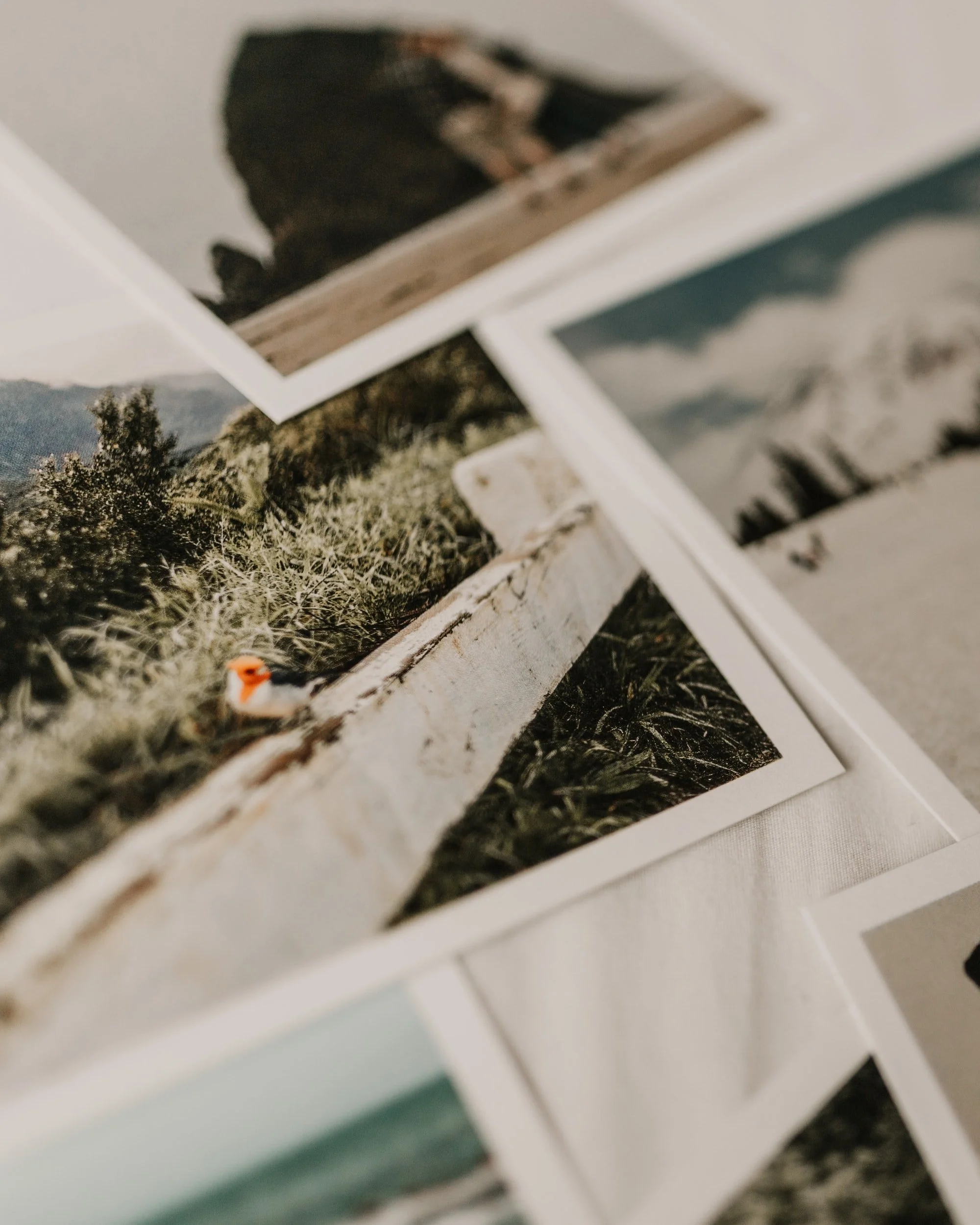 The Mindful Farmers Daily Diary Day 733