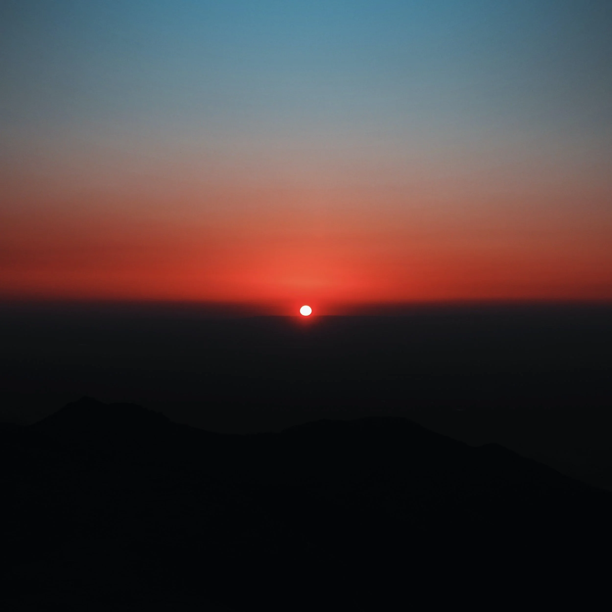 The Mindful Farmers Daily Diary Day 799