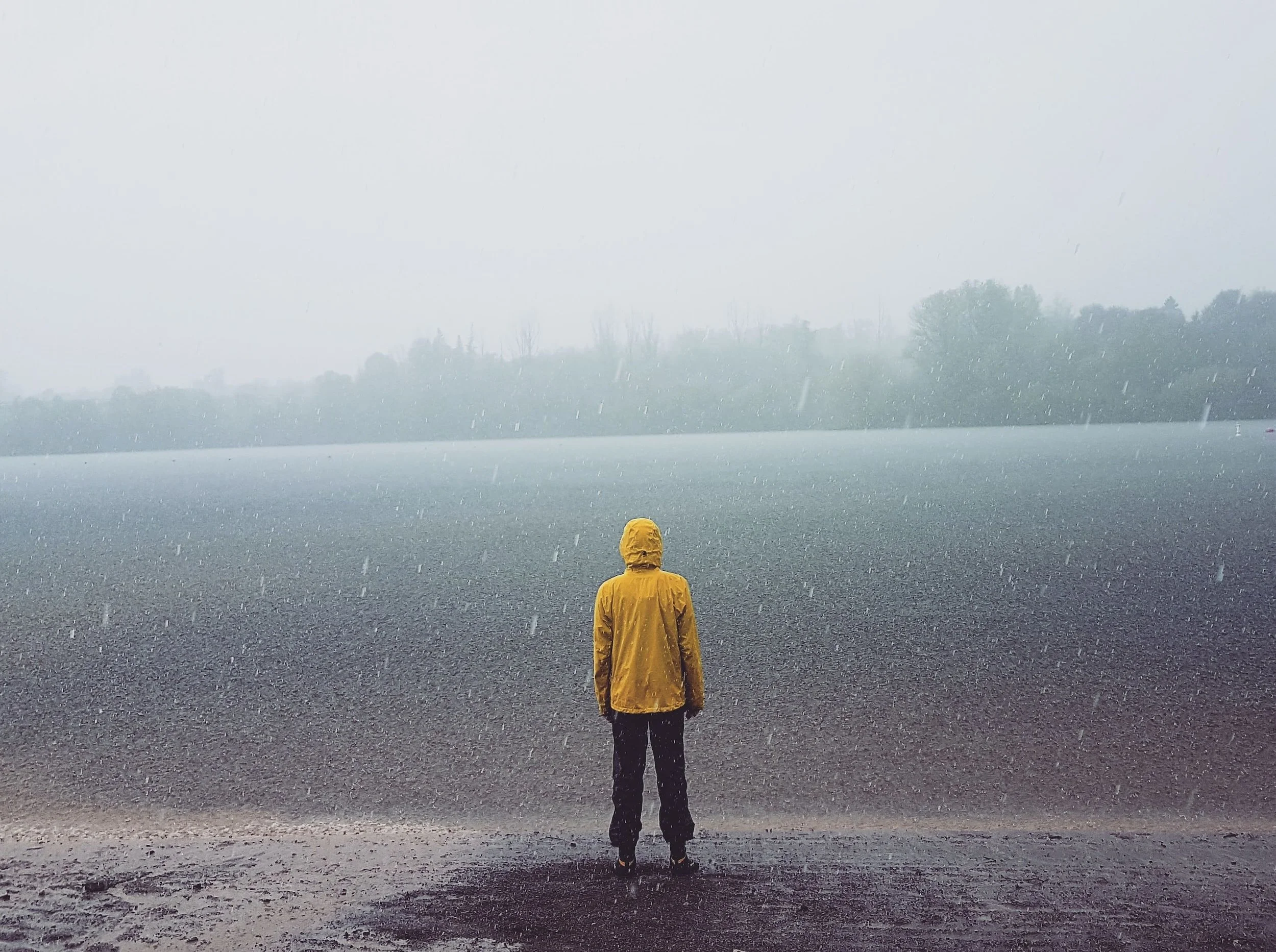 The Mindful Farmers Daily Diary Day 945