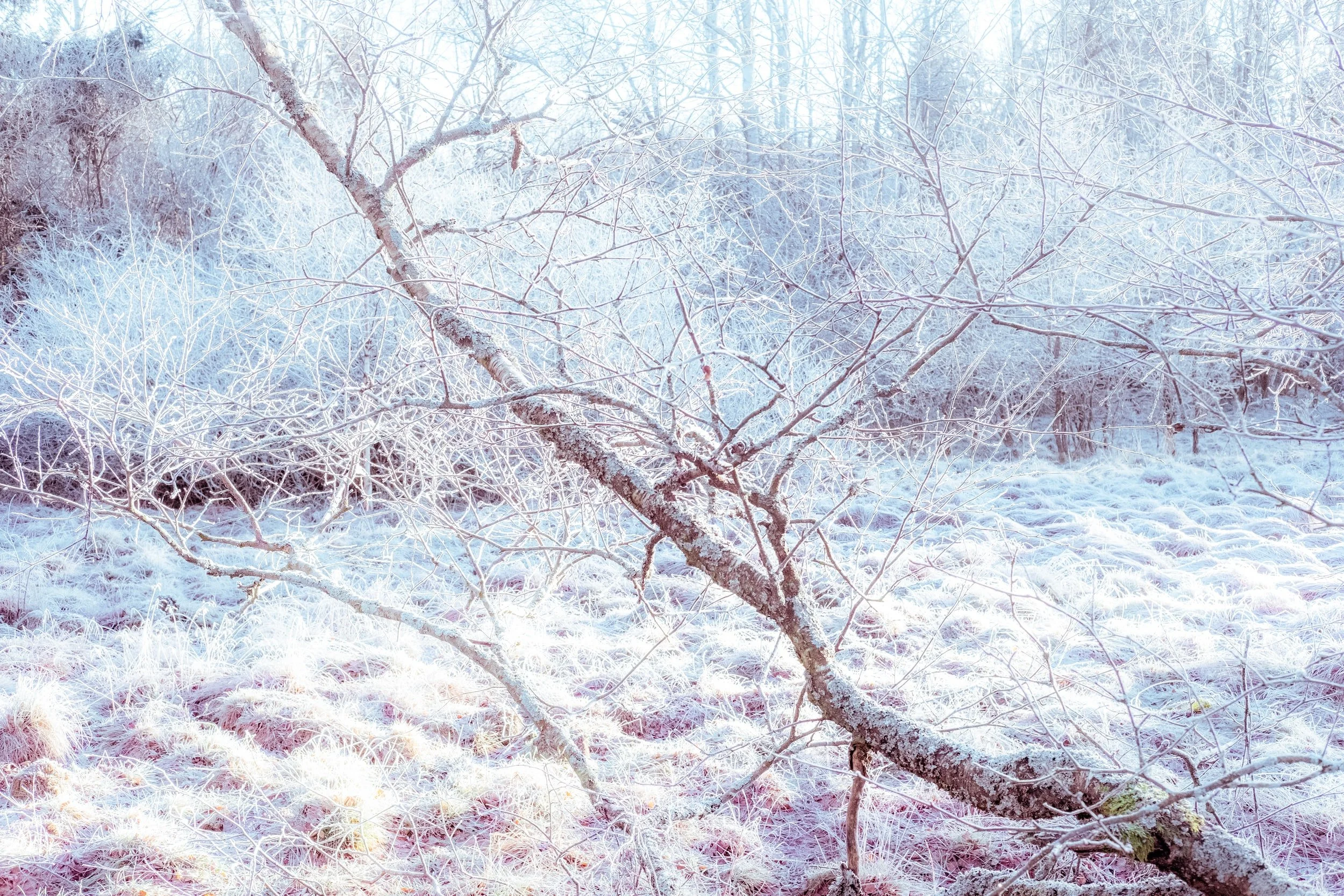 The Mindful Farmers Daily Diary Day 997