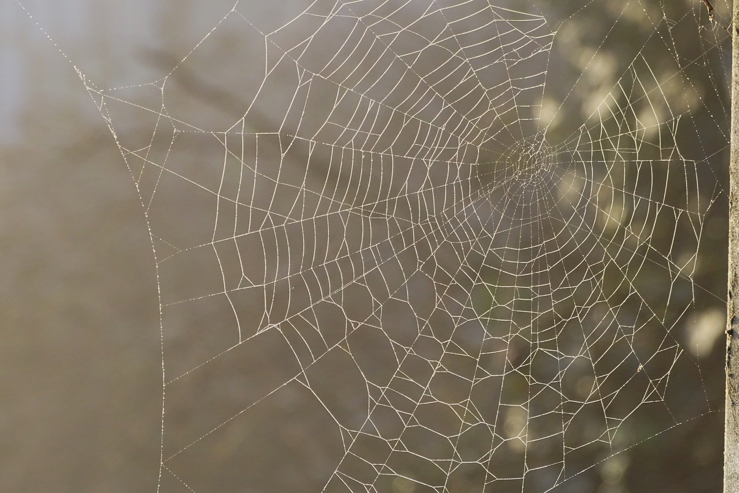 The Mindful Farmers Daily Diary Day 1003