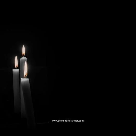 The Mindful Farmers Daily Diary Day 1097