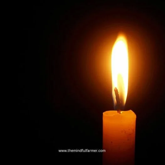 The Mindful Farmers Daily Diary Day 1098
