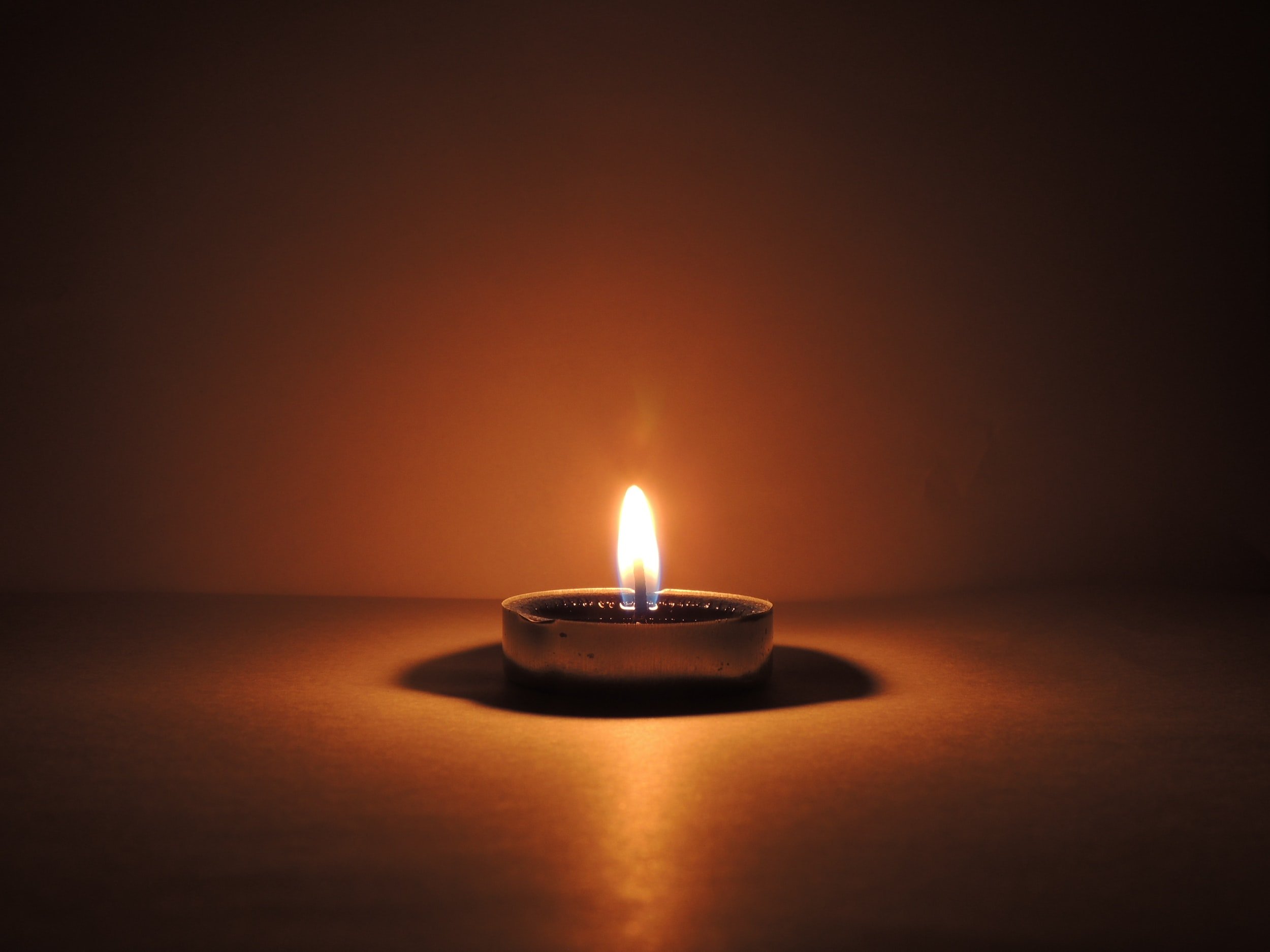 The Mindful Farmers Daily Diary Day 1099