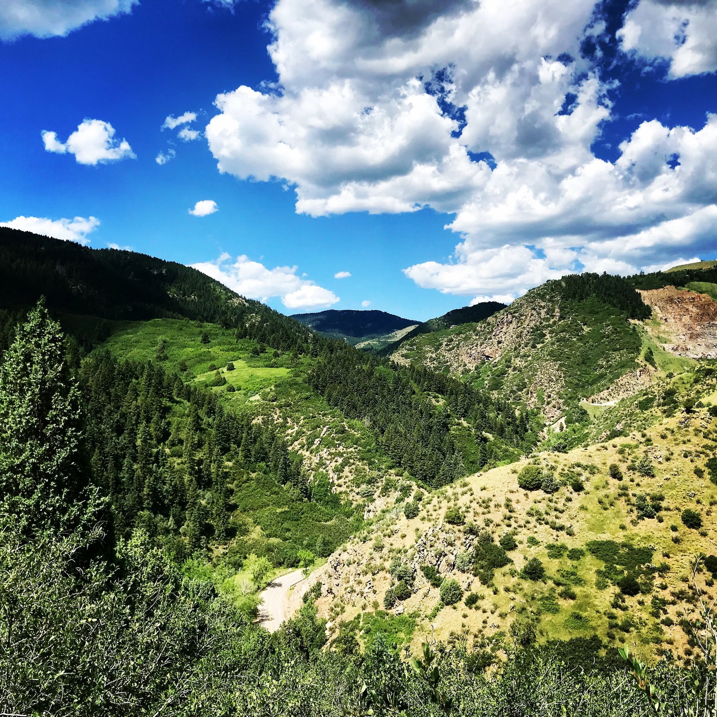 The Mindful Farmers Daily Diary Day 1156