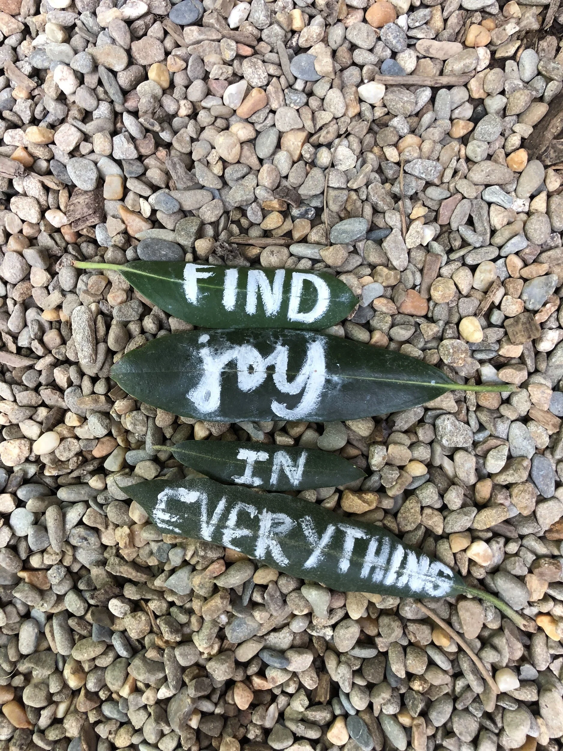 The Mindful Farmers Daily Diary Day 1172