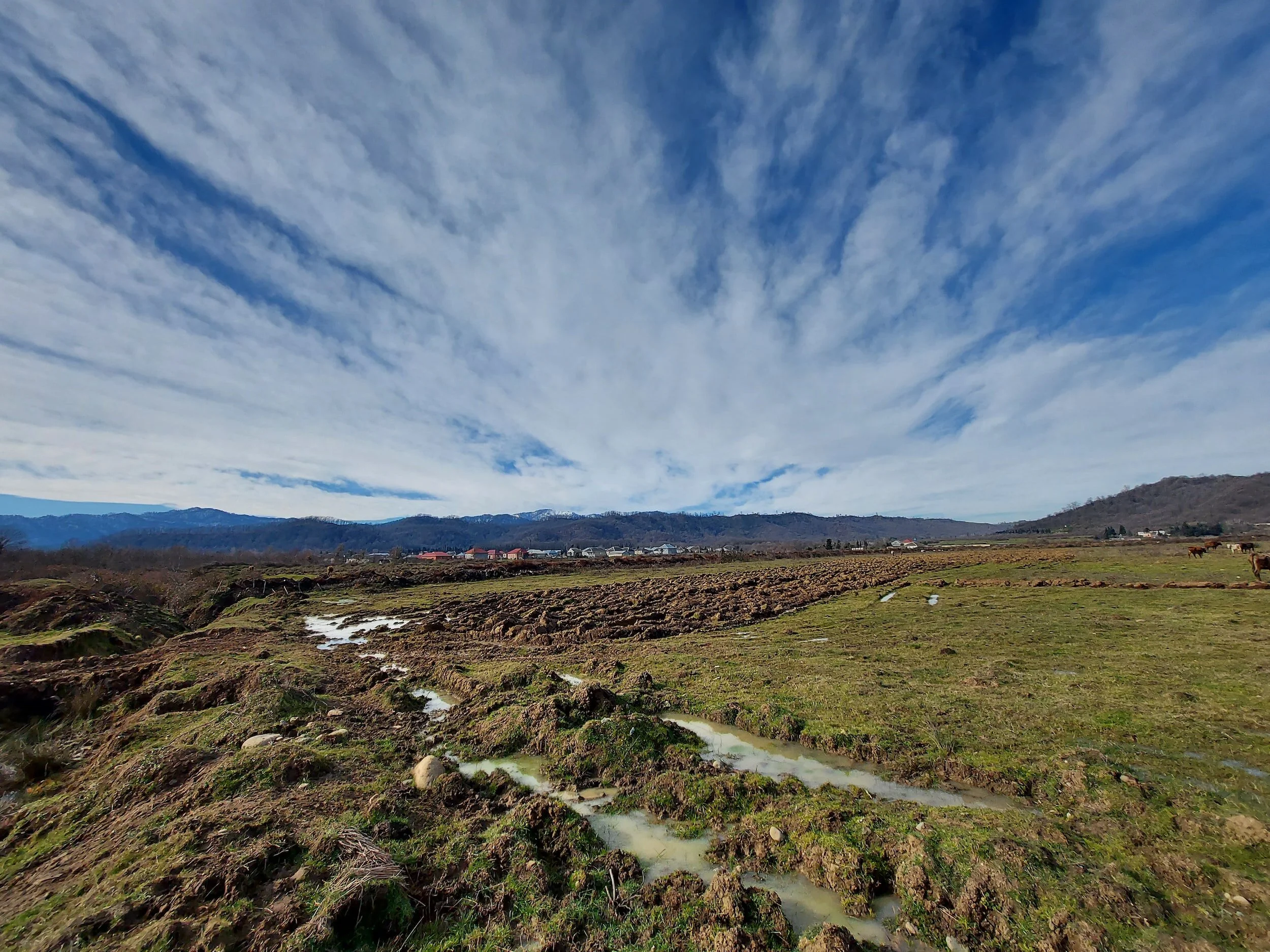 The Mindful Farmers Daily Diary Day 1197