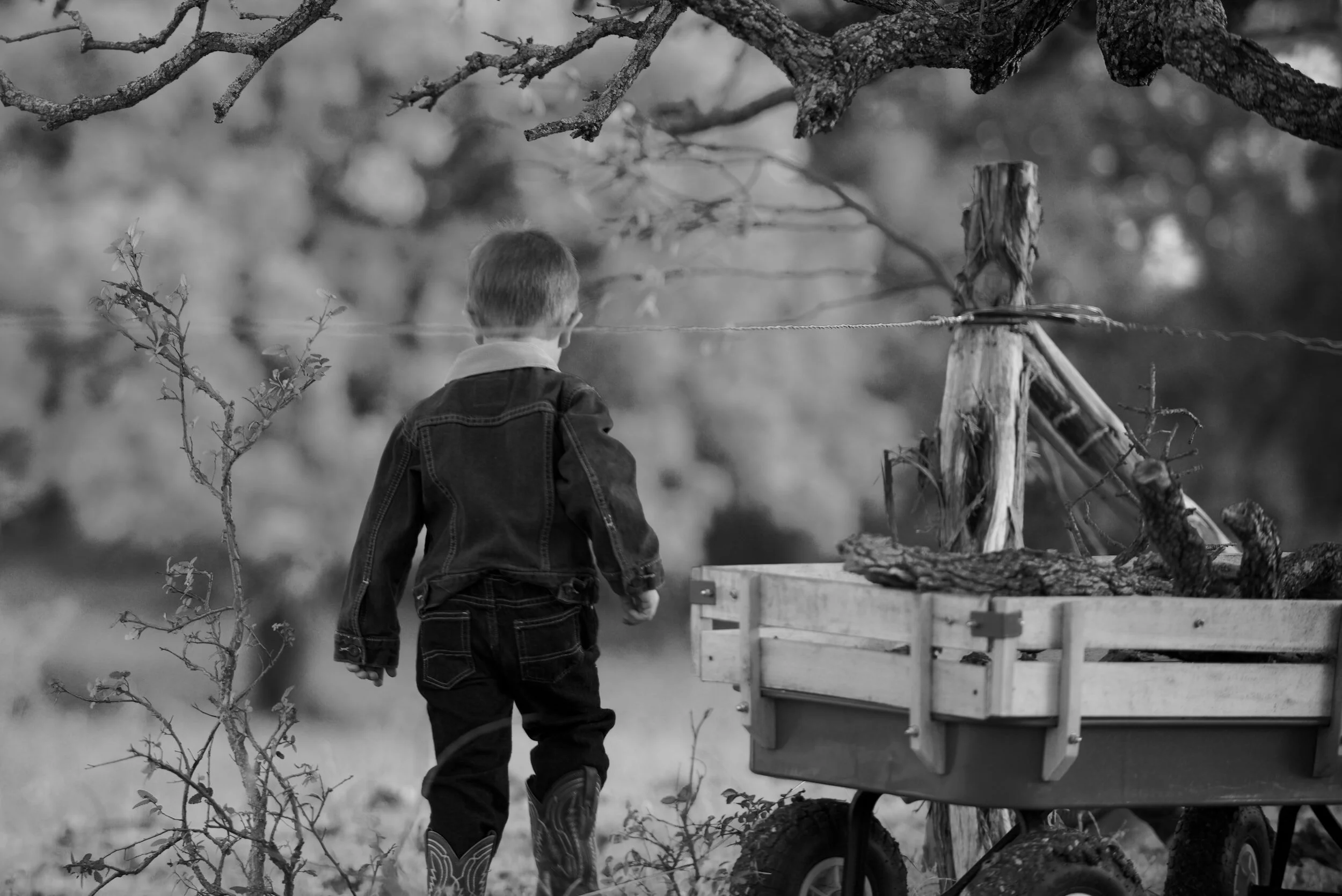 The Mindful Farmers Daily Diary Day 1246