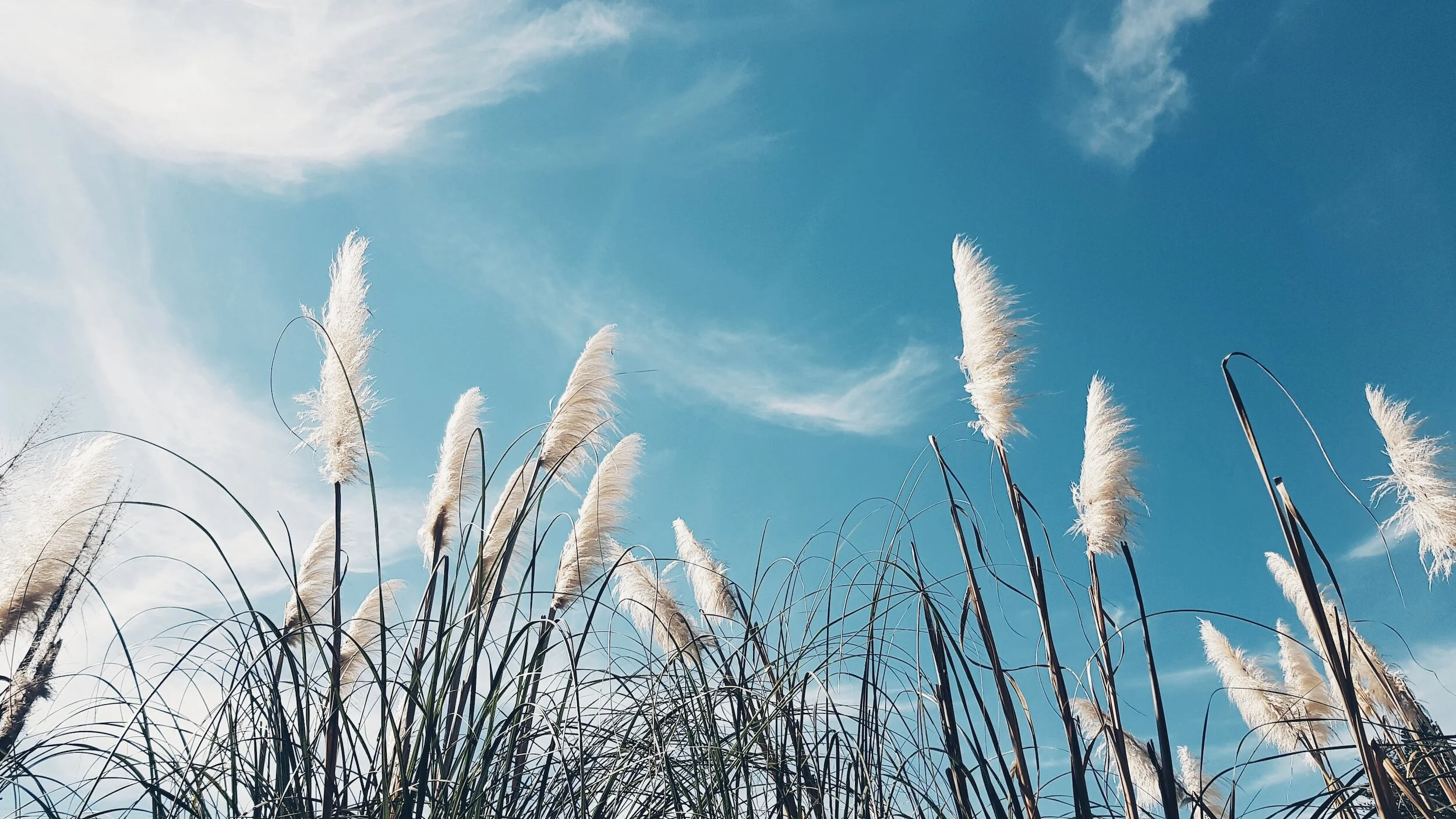 The Mindful Farmers Daily Diary Day 1267