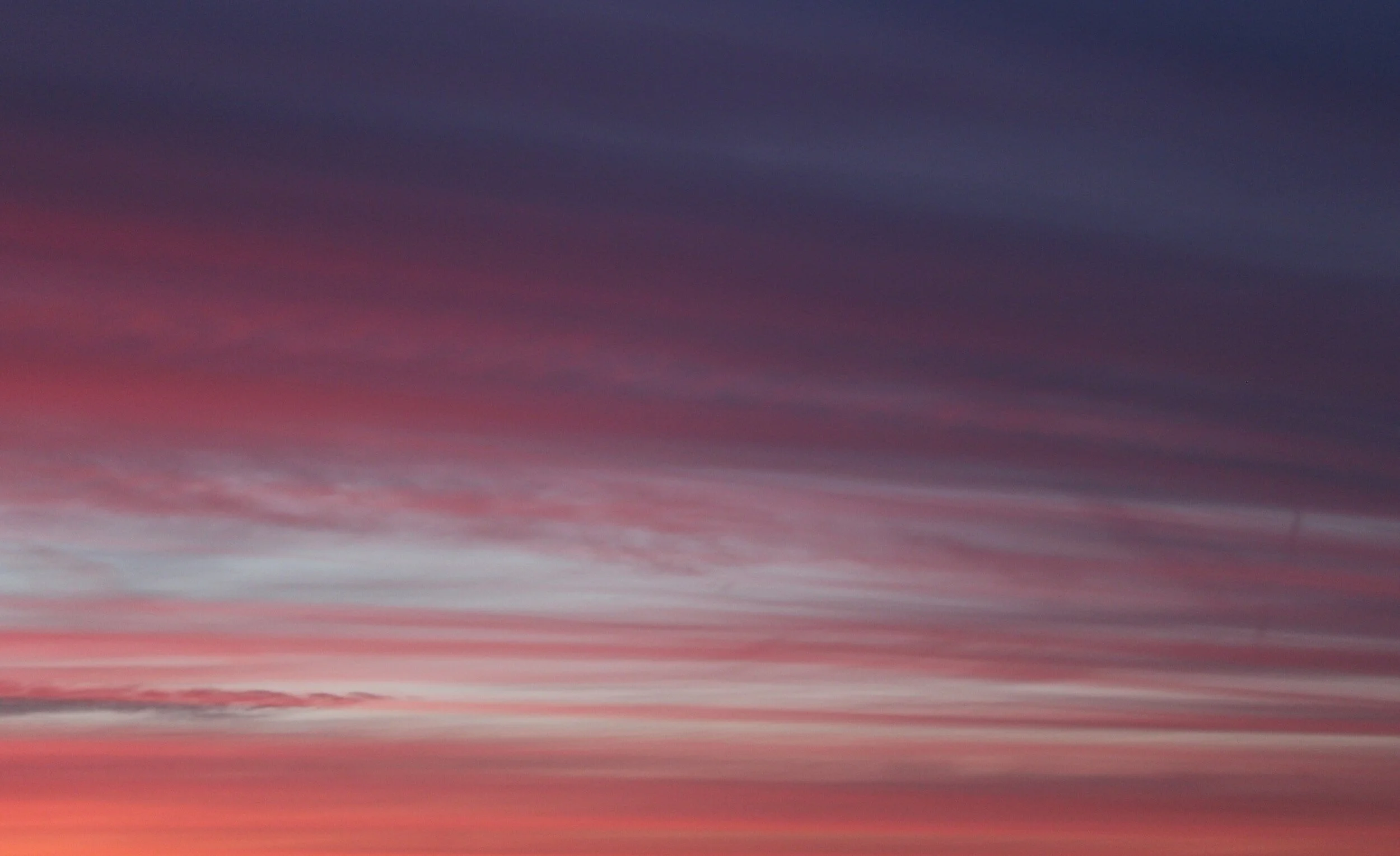 The Mindful Farmers Daily Diary Day 1356