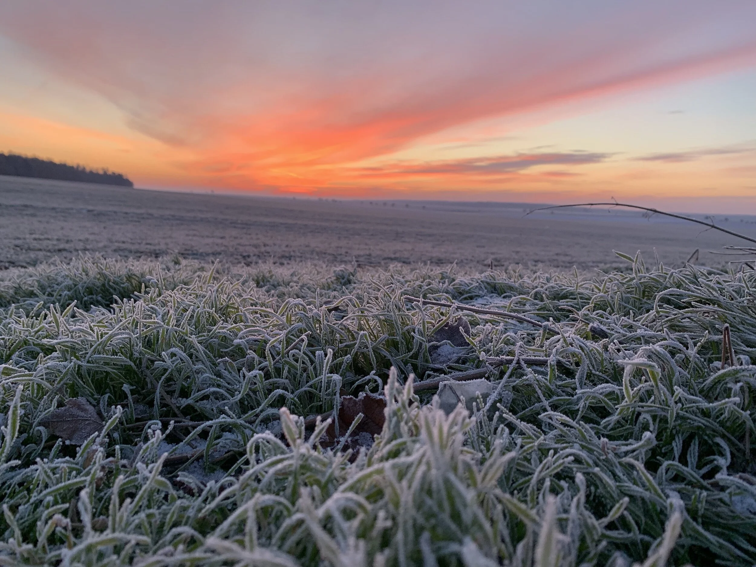 The Mindful Farmers Daily Diary Day 1395