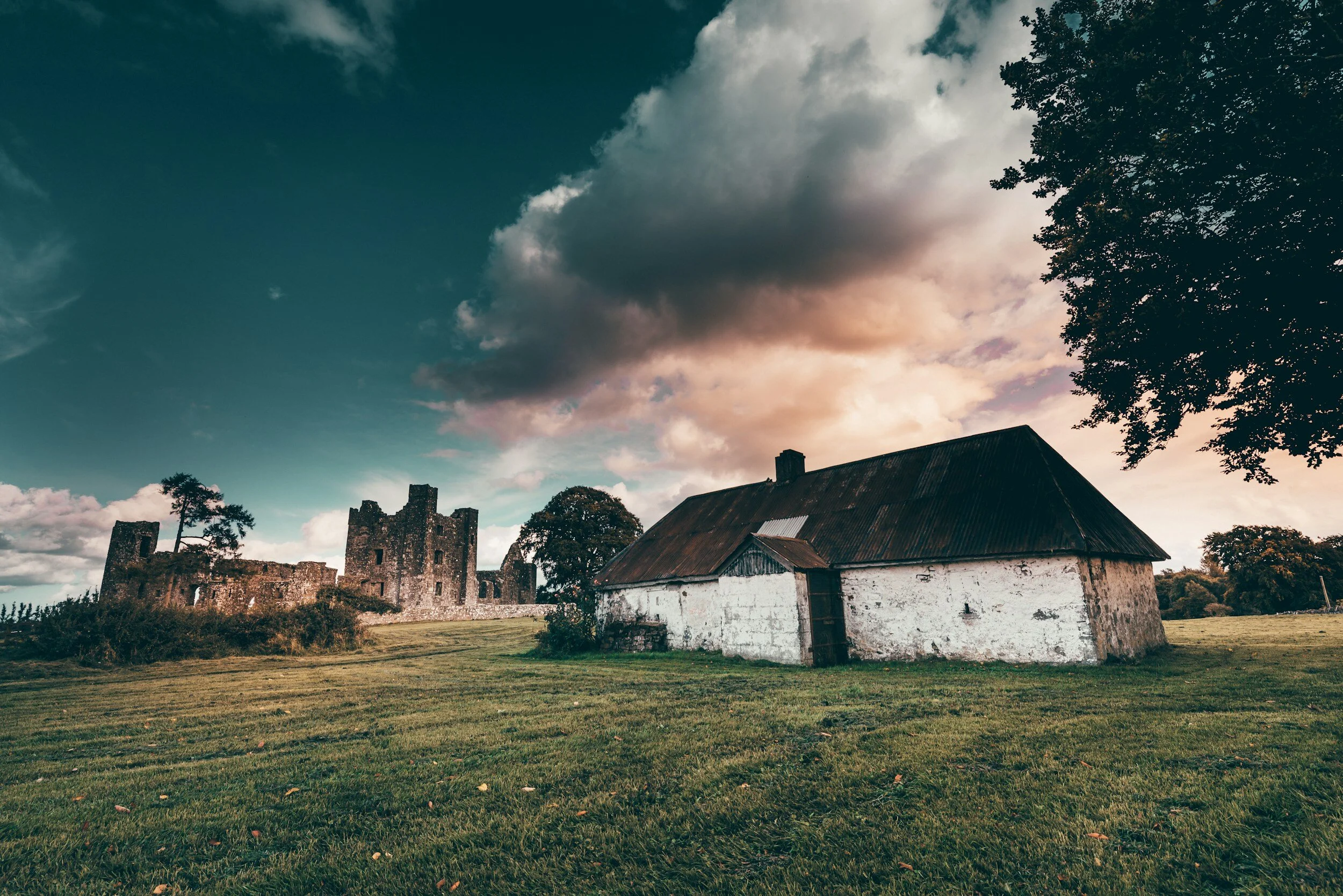 The Mindful Farmers Daily Diary Day 1406