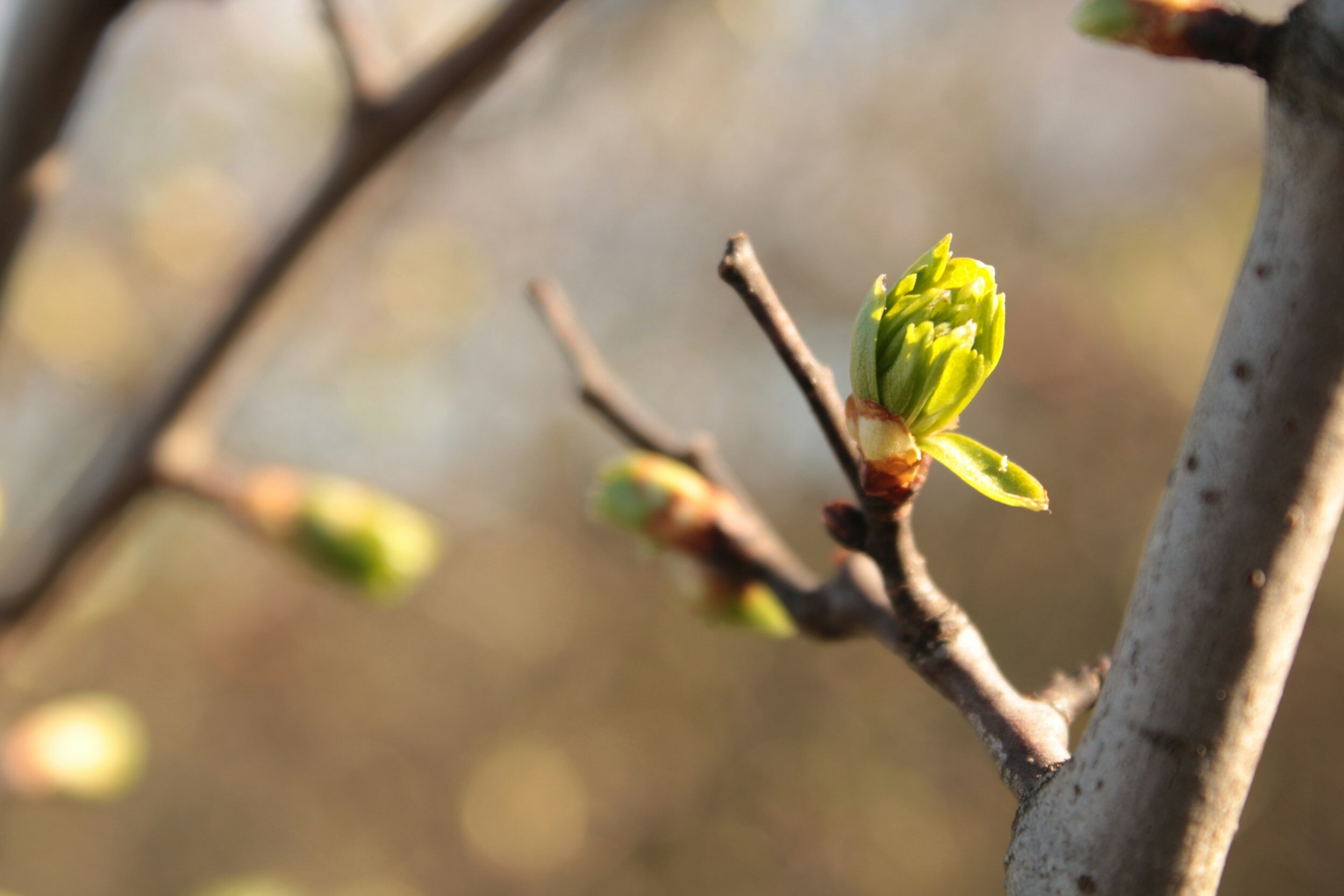 The Mindful Farmers Daily Diary Day 1421