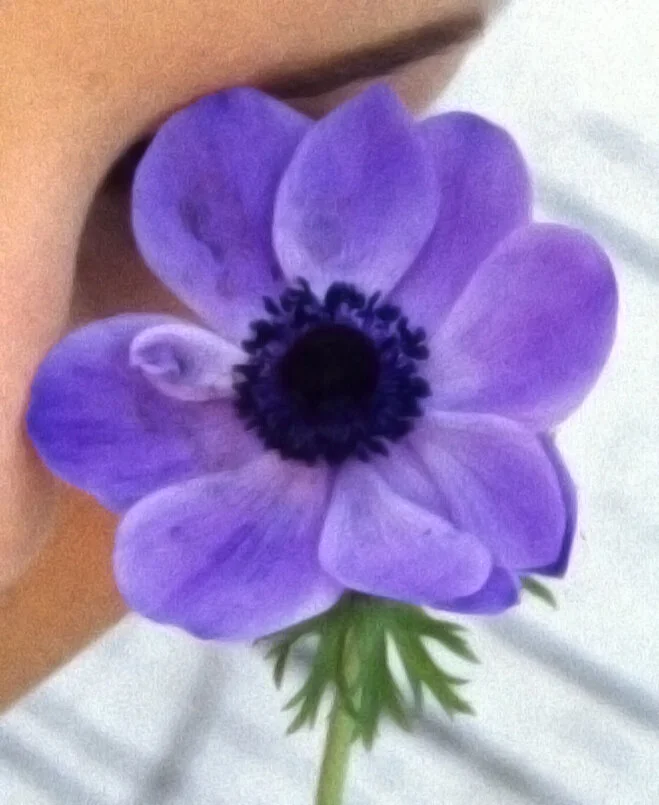 FLOWER.jpg