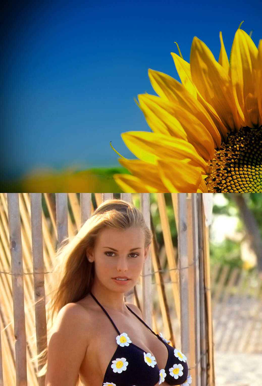 Krissy-Taylor-Dishes-WEB 2 1 3 4.jpg