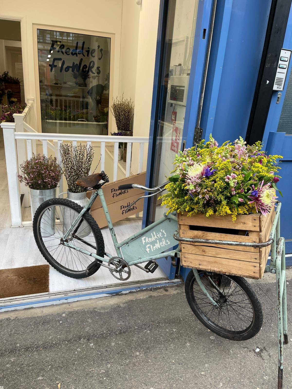 GALLERY — Stokey Pop Up