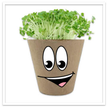 SRC: Crazy Cress