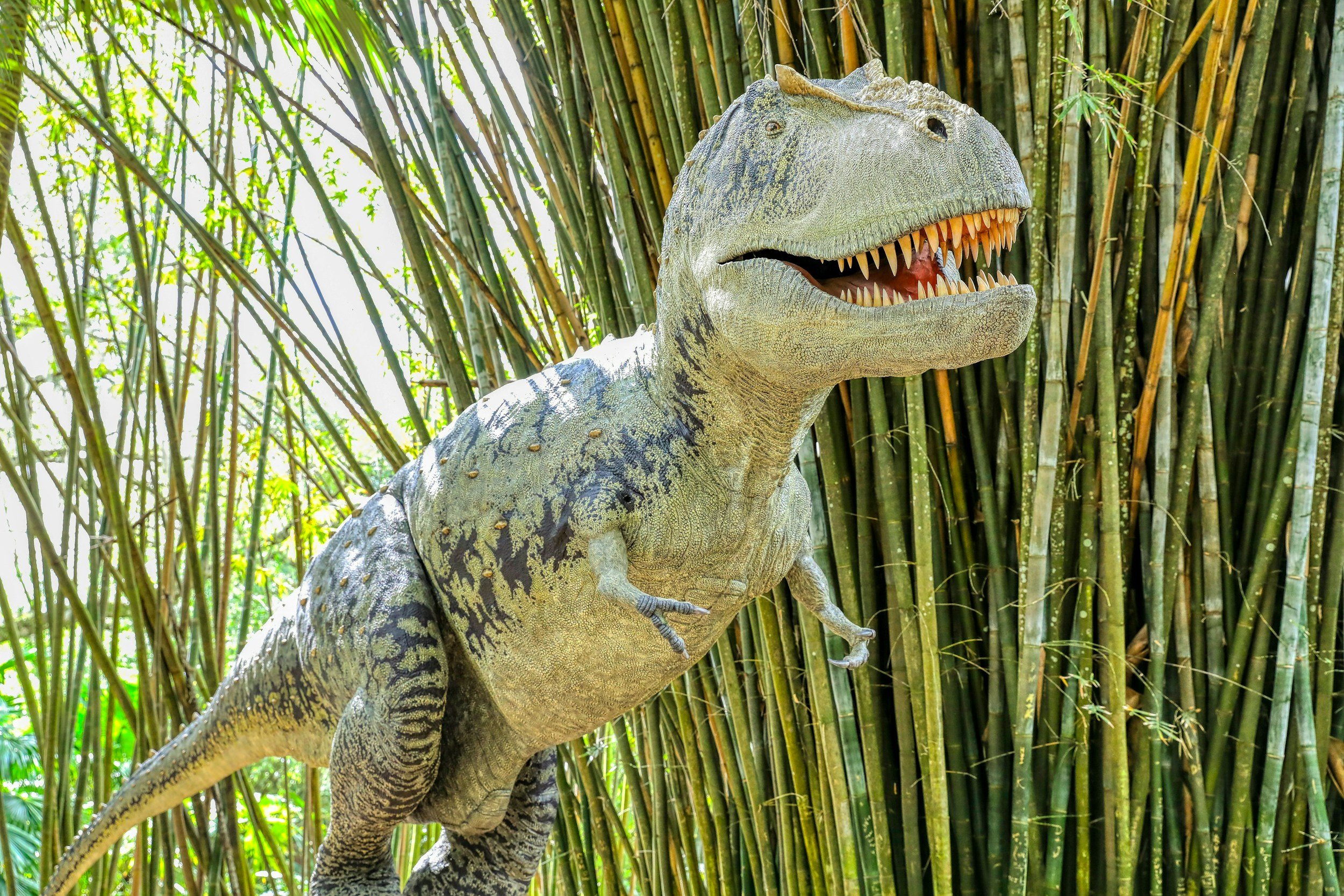Dinosaur Garden @Cambourne Library