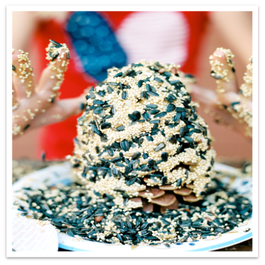 Bird Feeder Craft