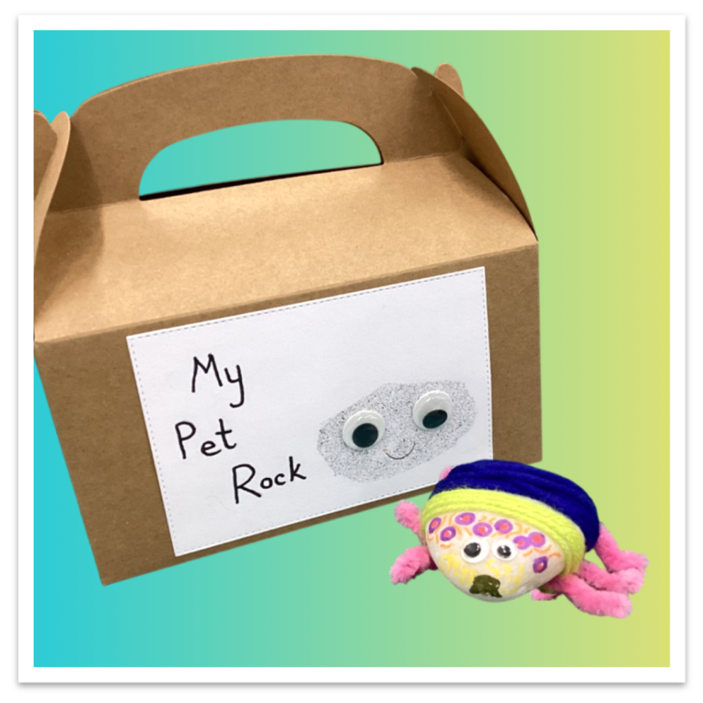 Pet Rock Craft