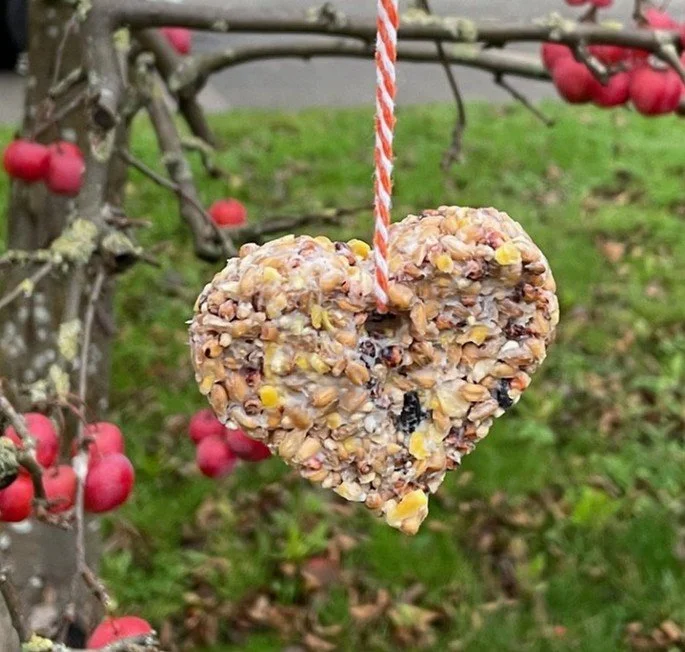 Birdseed Ornaments