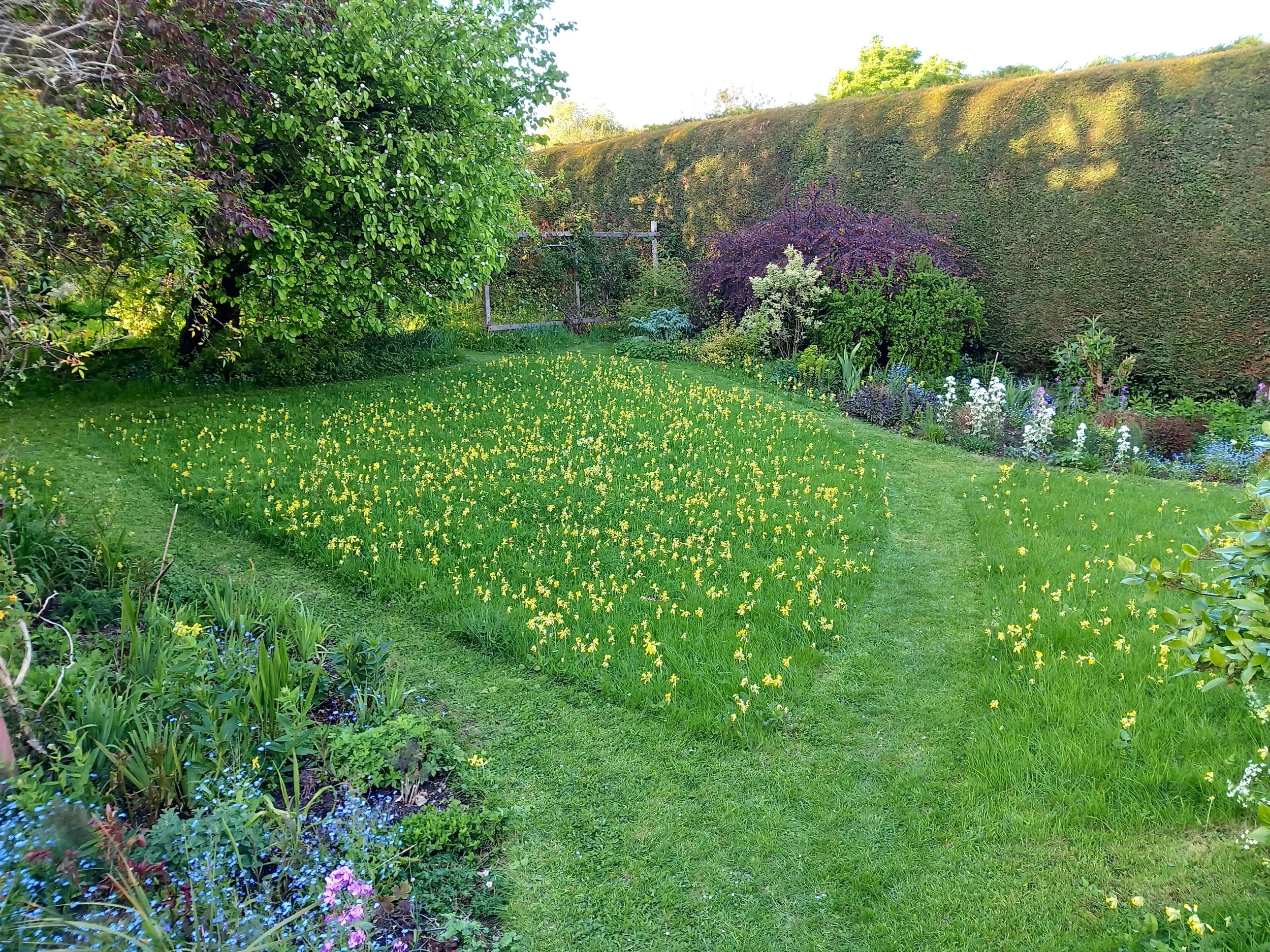 Climate change, Gardening & Us